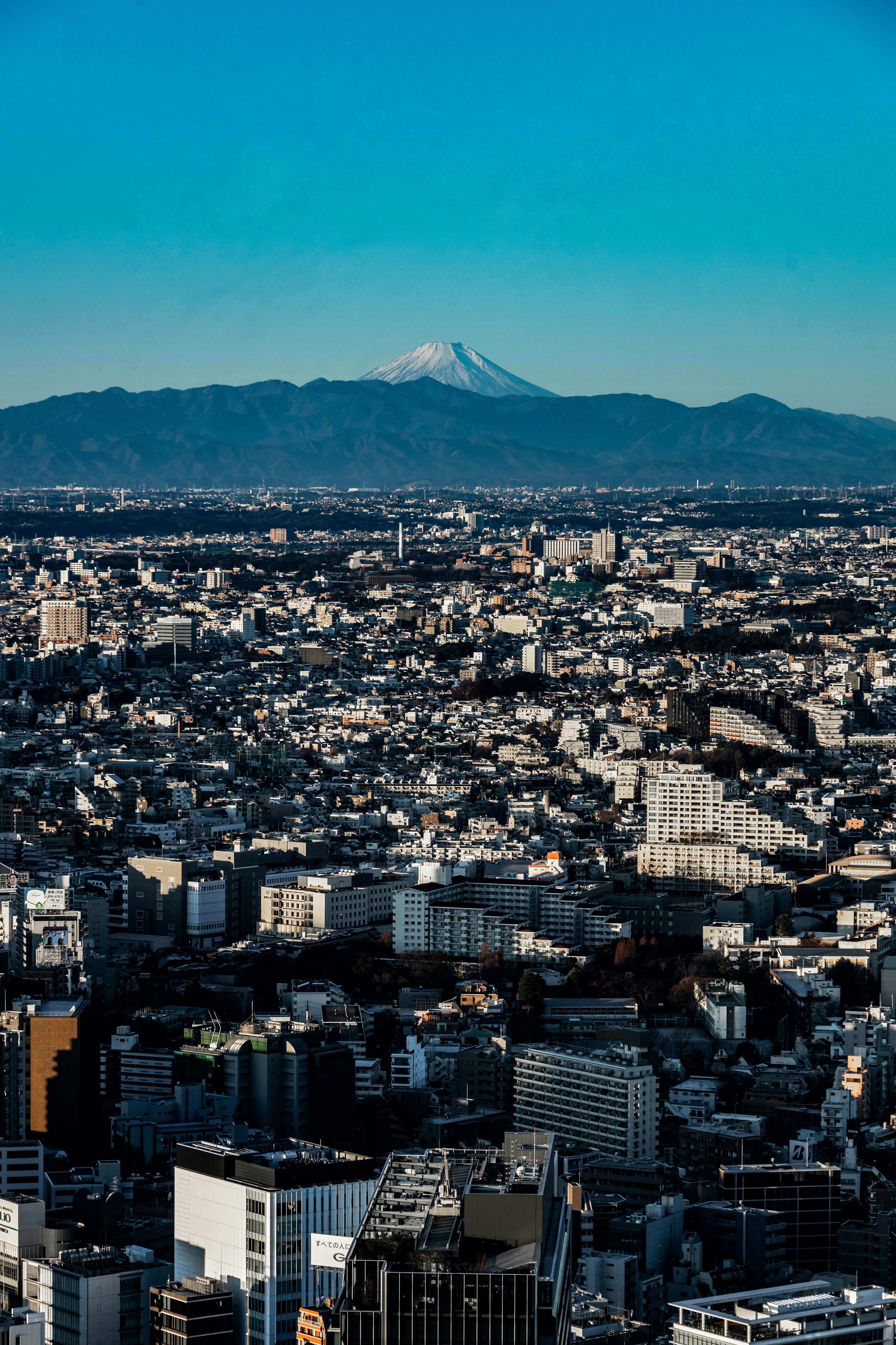 東京の都市景観と富士山の遠景