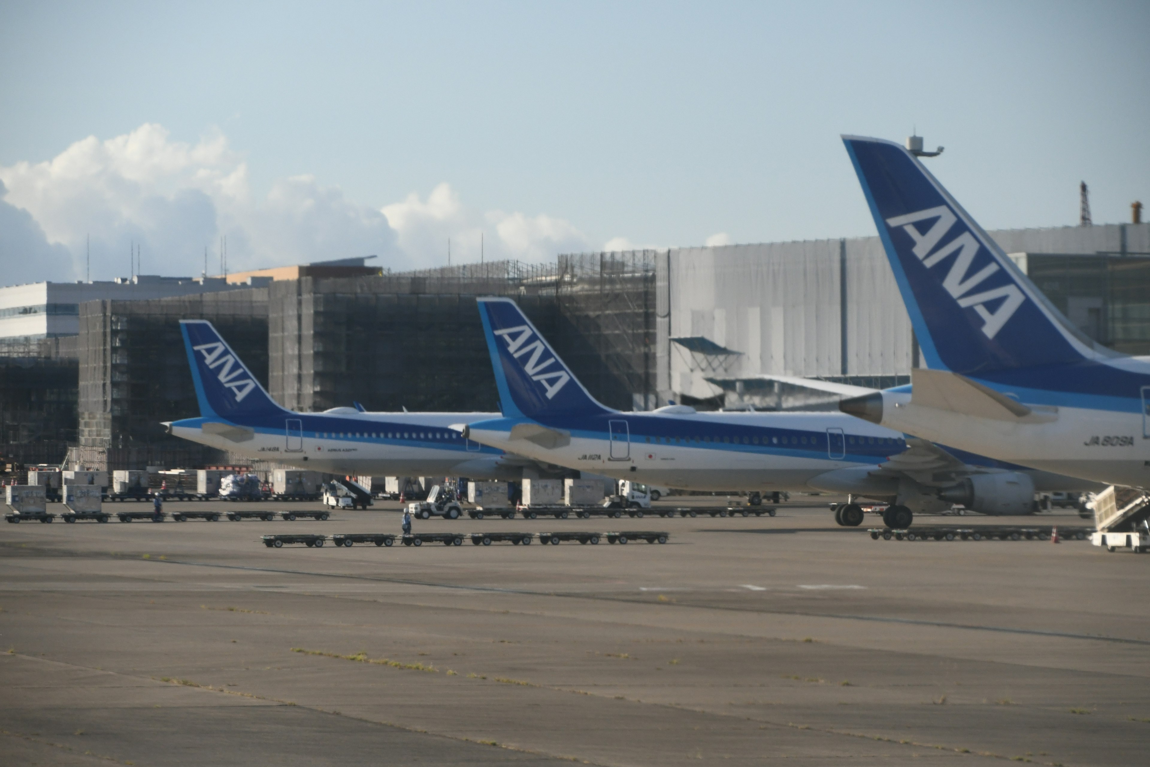 ANAの航空機が並ぶ空港の風景