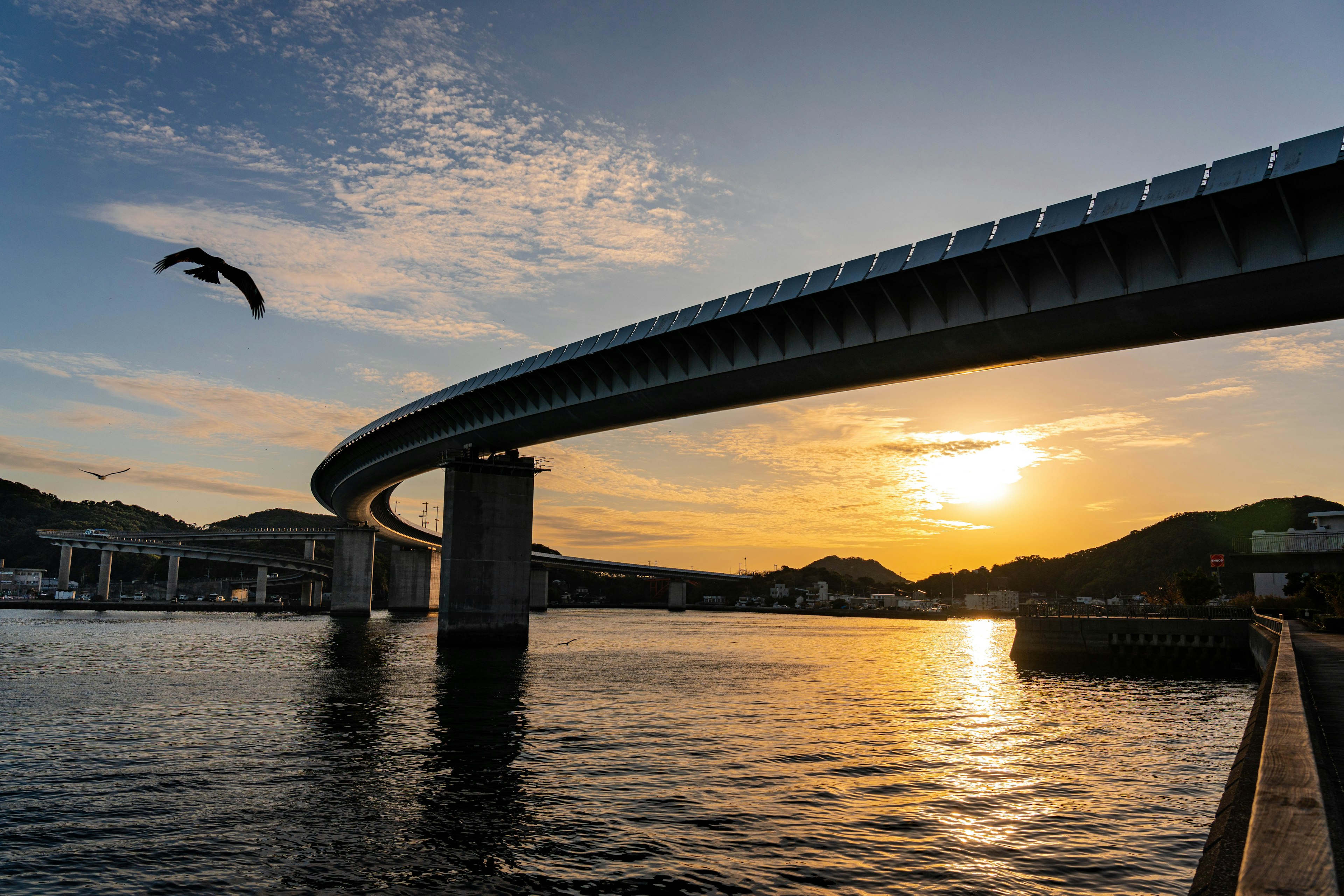 Bridge silhouette against sunset with reflections on water bird flying