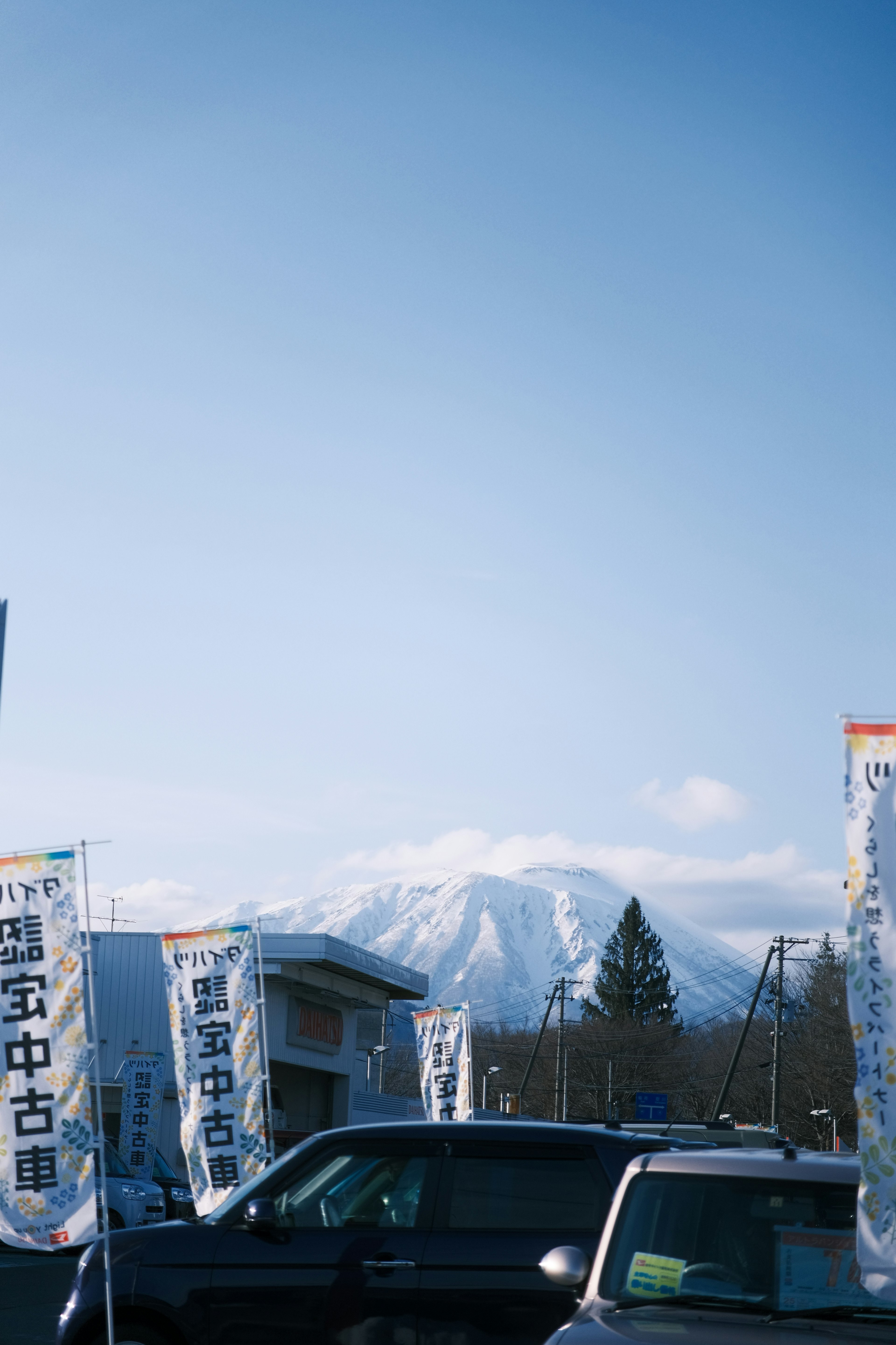 青空の下に雪をかぶった山とその前の車と旗