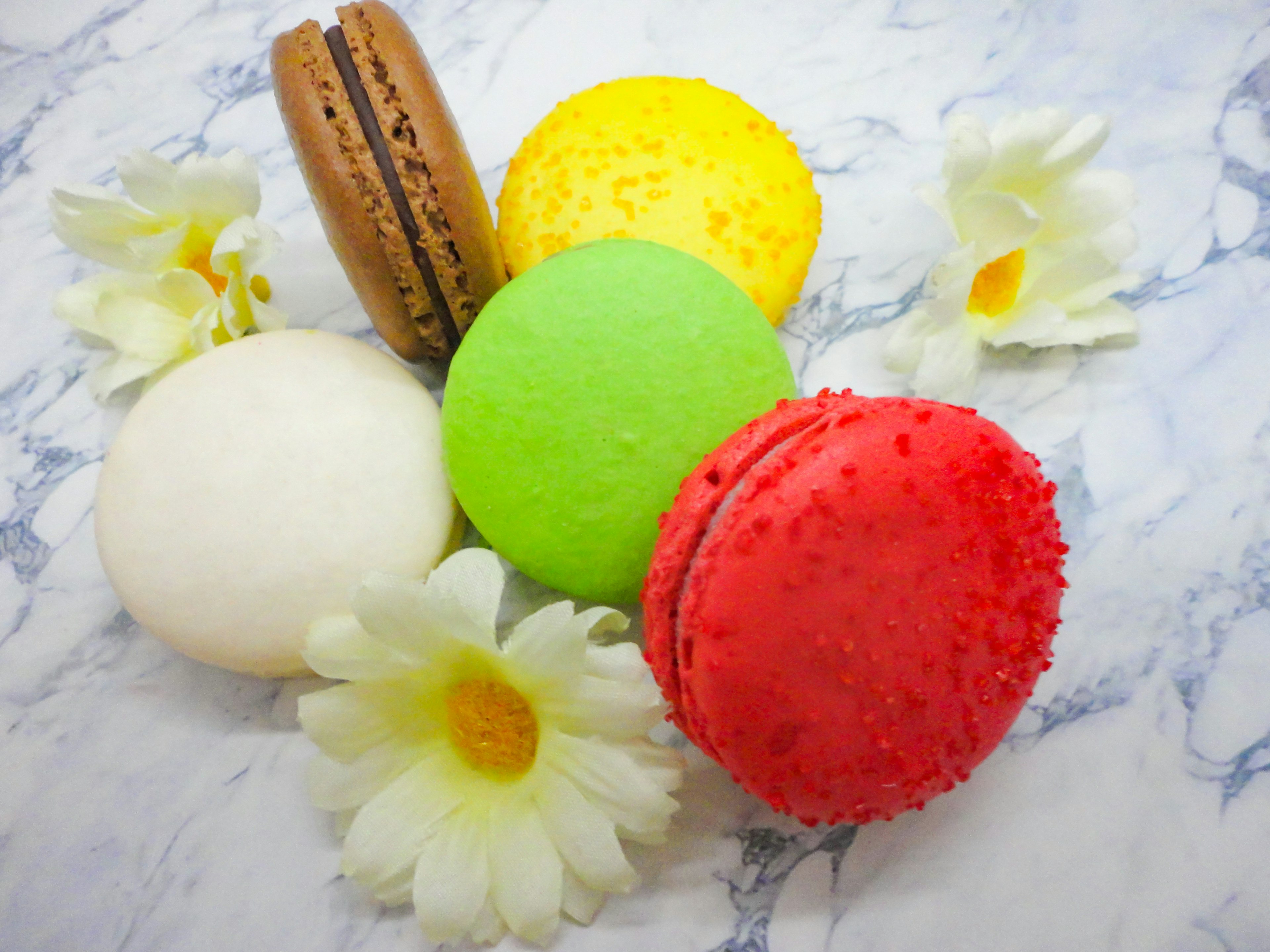 Macarons colorati disposti con fiori bianchi