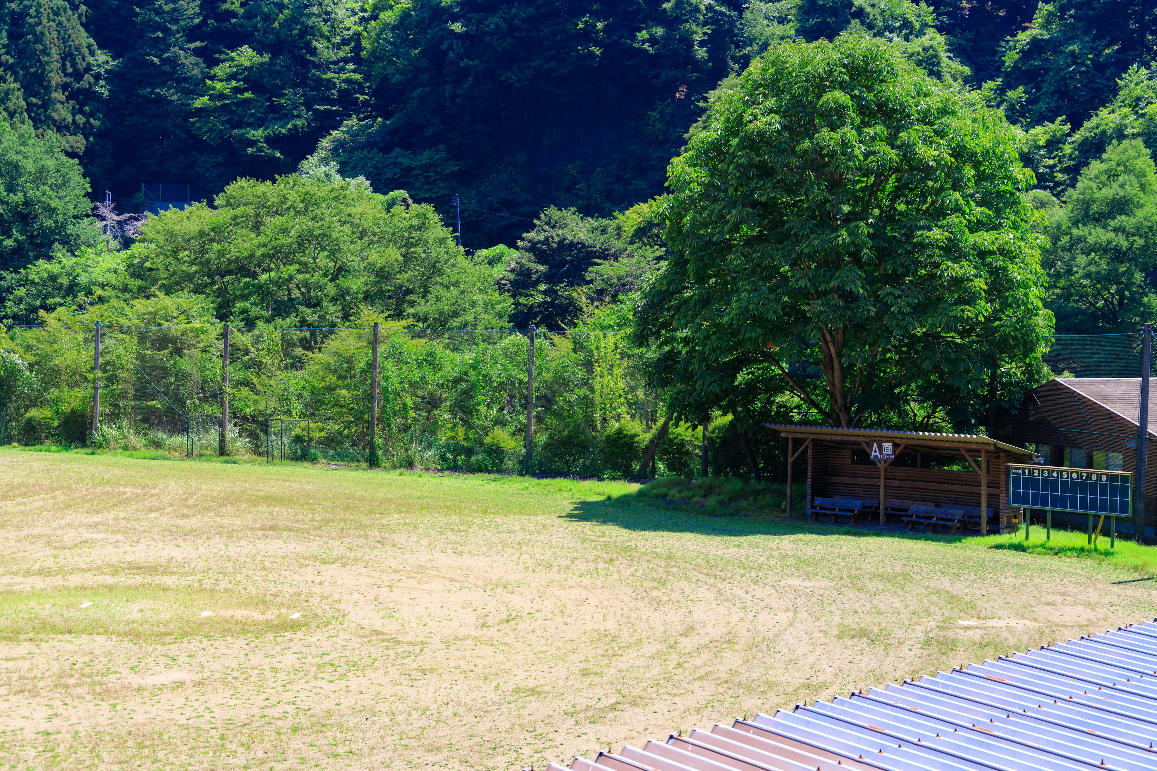 Un paisaje verde con un cielo azul claro sobre un campo de hierba