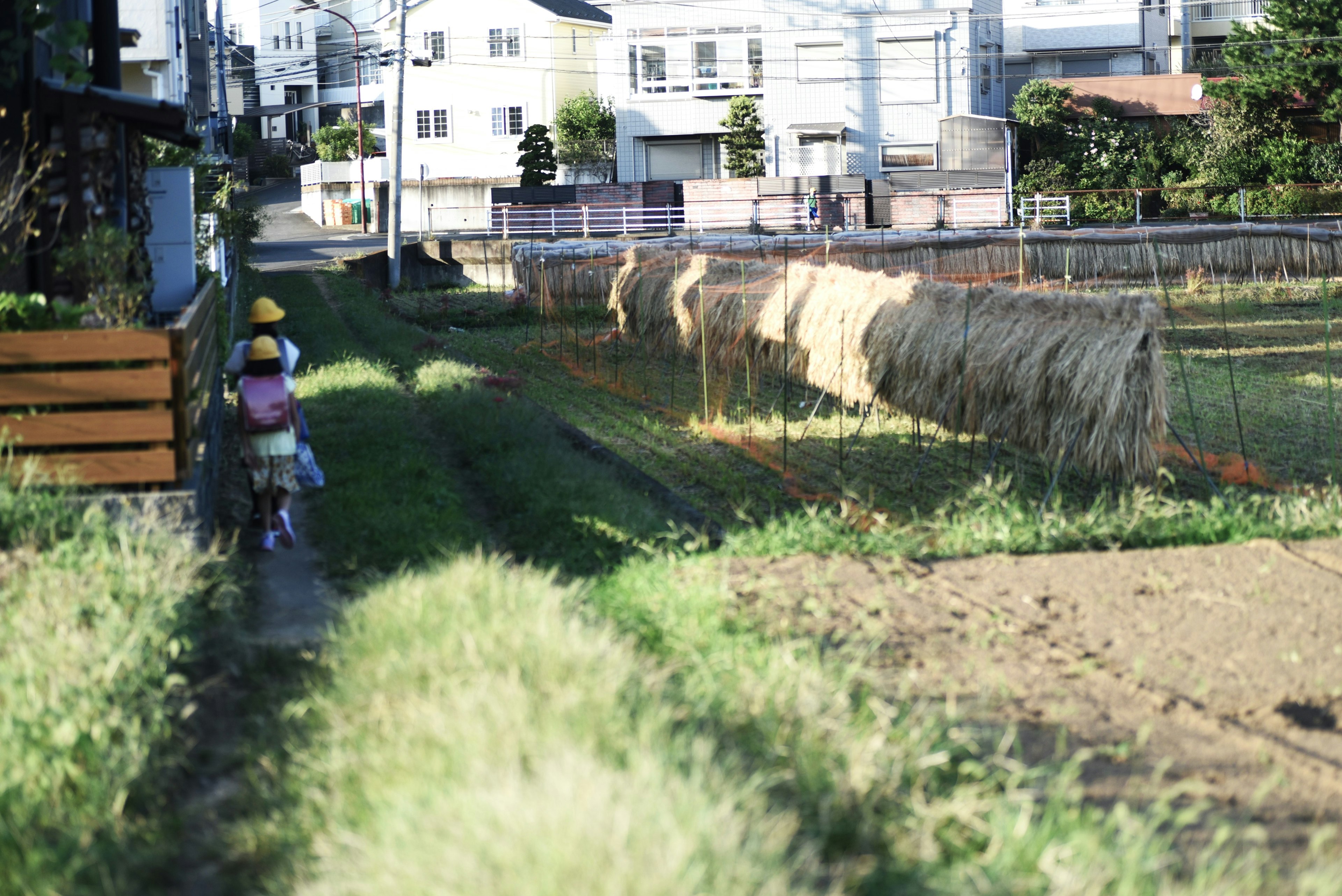 子供が田舎の小道を歩いている風景 背景には家々と干し草が見える