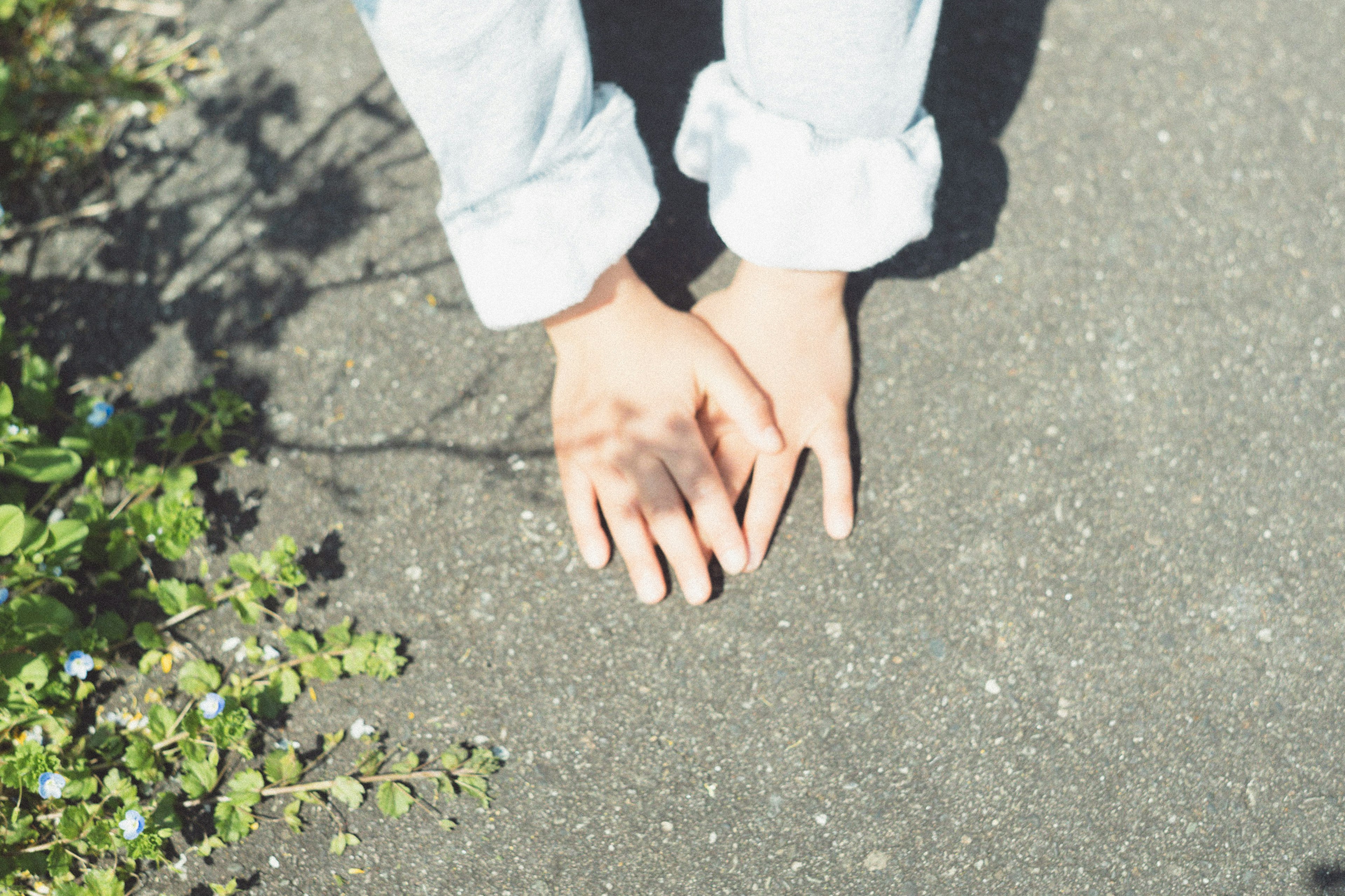 Two hands placed on concrete with surrounding greenery