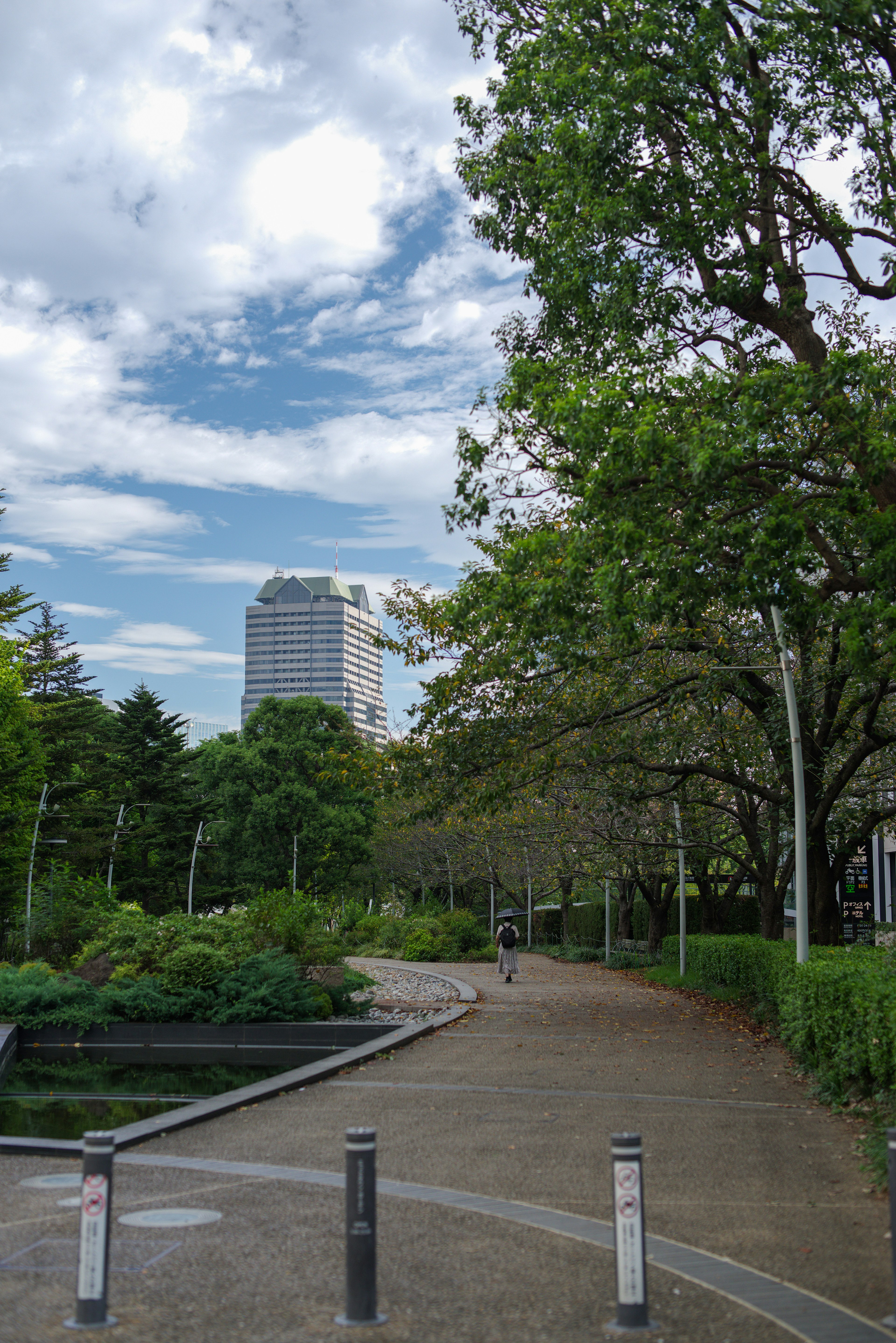 A lush park pathway with trees under a blue sky and a tall building in the background