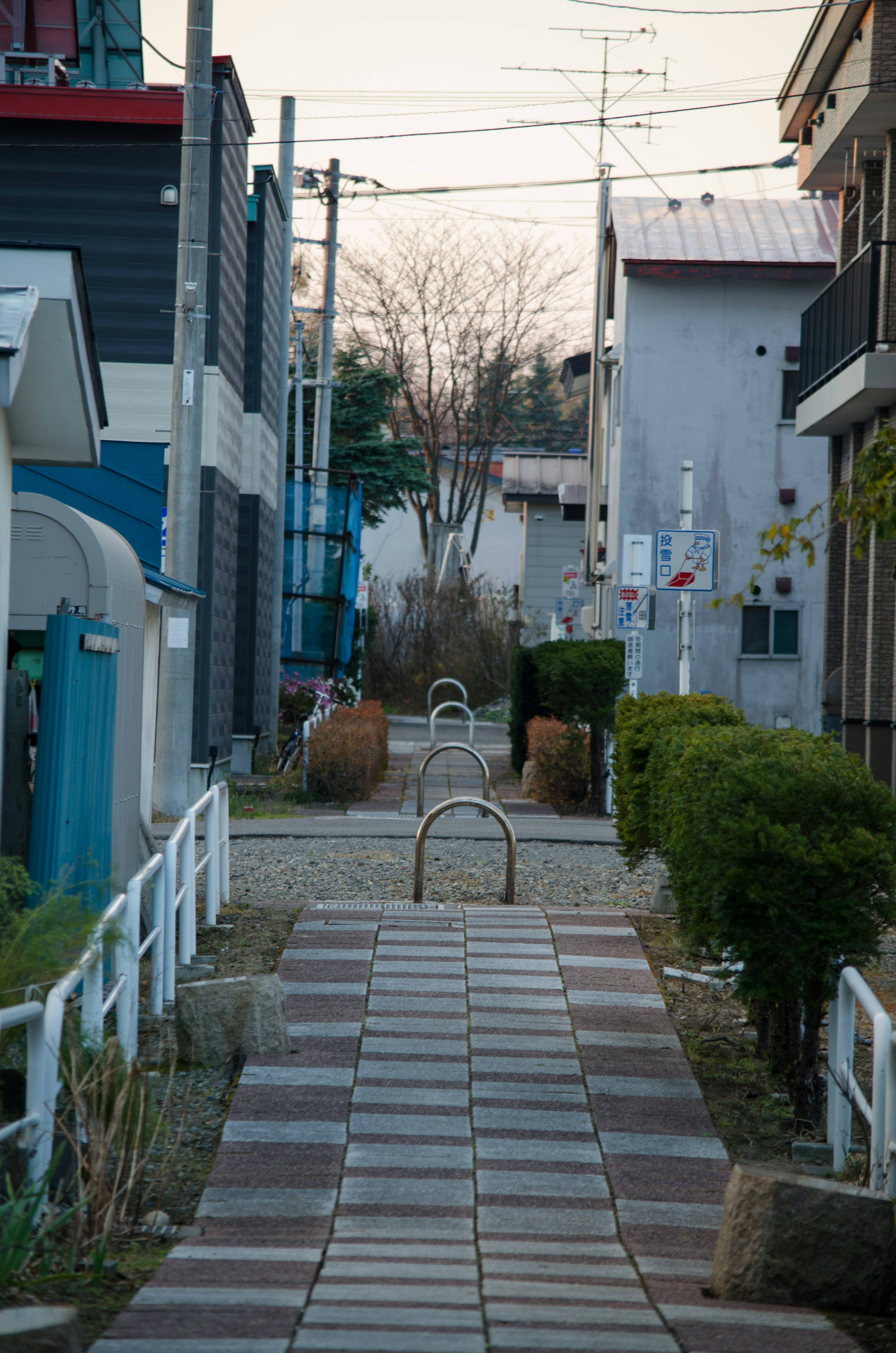 静かな住宅街の小道が見える 低いフェンスと整然とした植栽が特徴