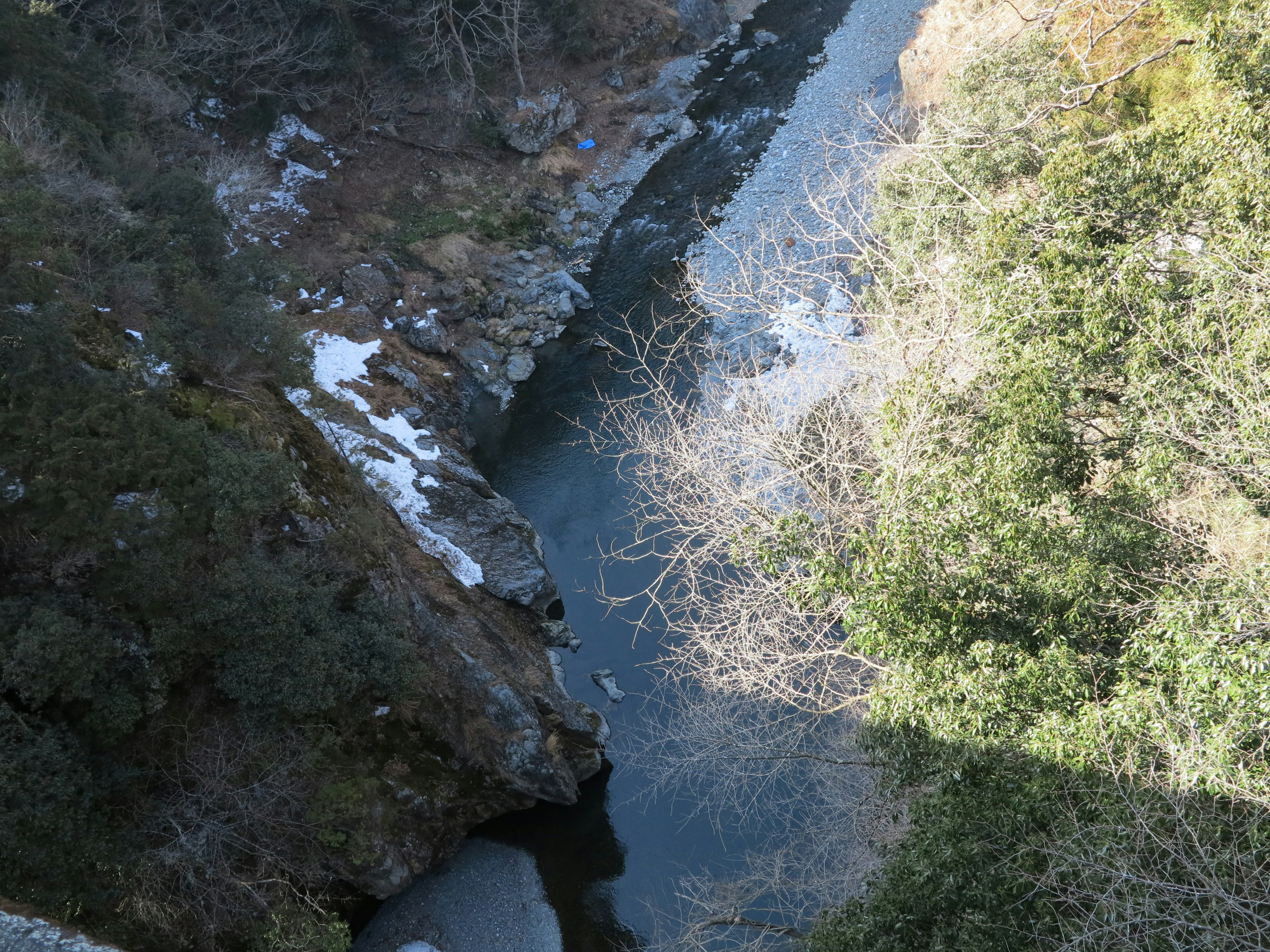 川と木々の景色が広がる冬の風景