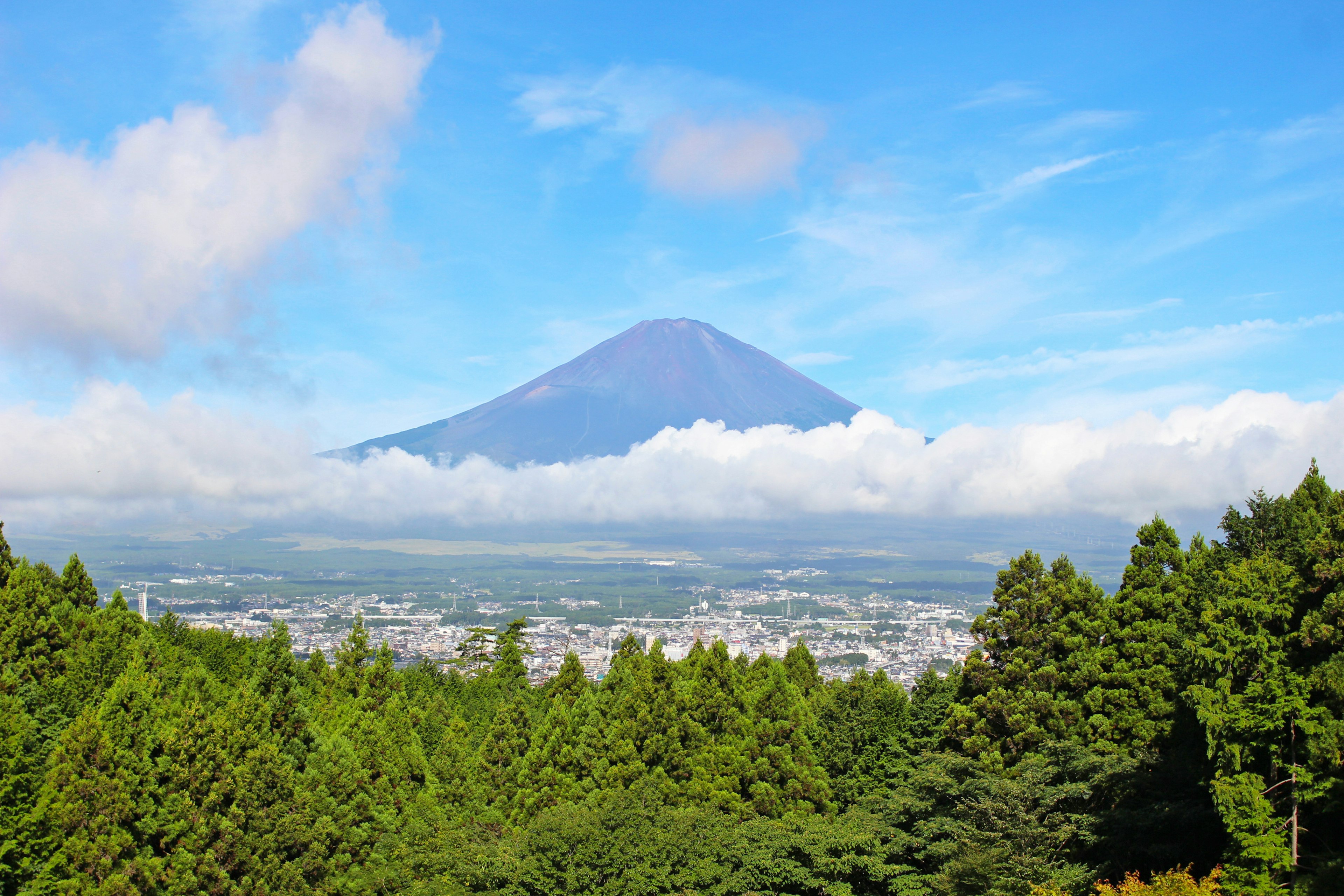 ทิวทัศน์ที่สวยงามของภูเขาฟูจิพร้อมท้องฟ้าสีฟ้าและต้นไม้สีเขียว