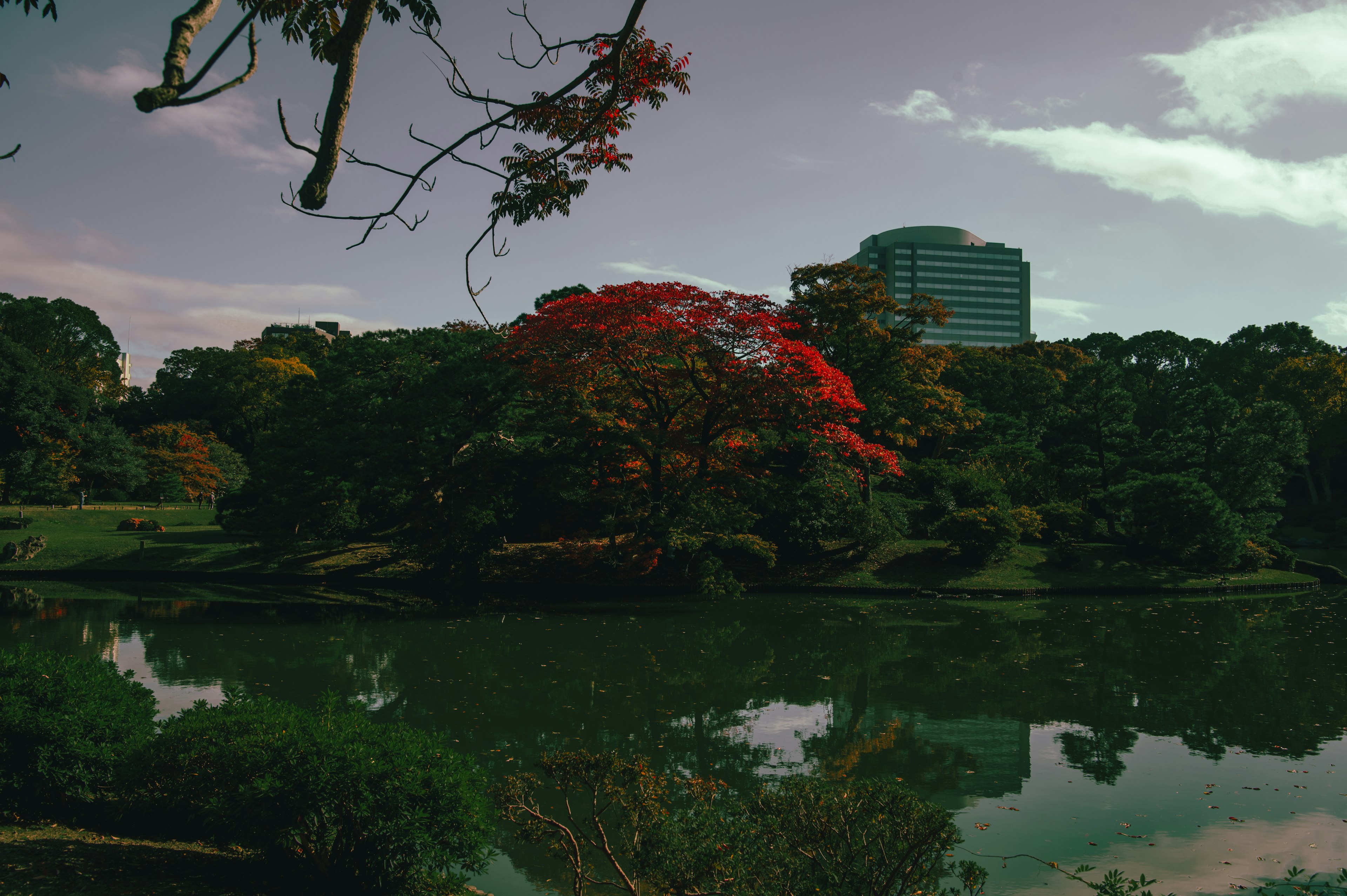 秋の紅葉が映る池と近代的なビルの風景