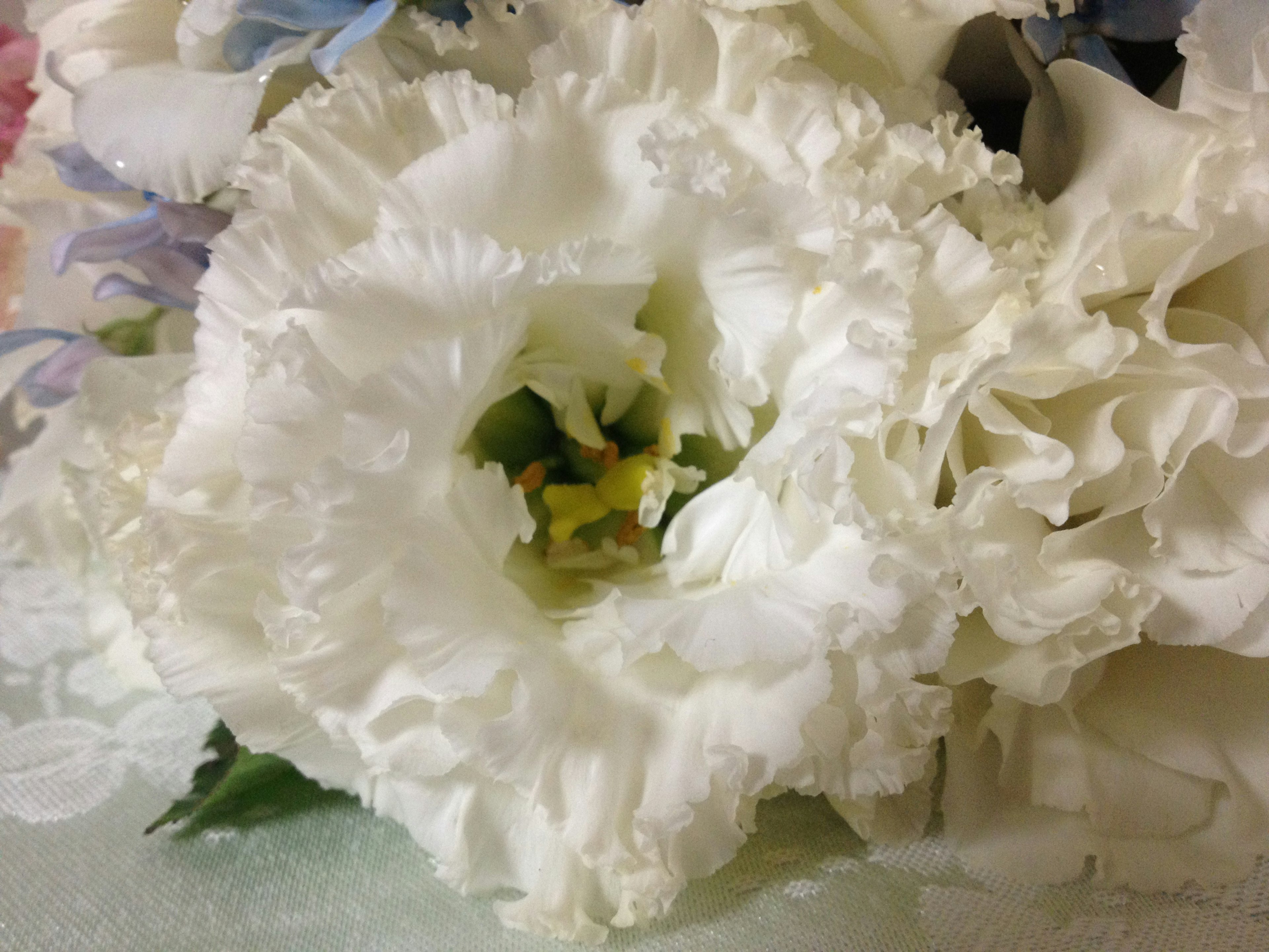 Gros plan d'une fleur blanche avec des pétales froncés et un centre jaune