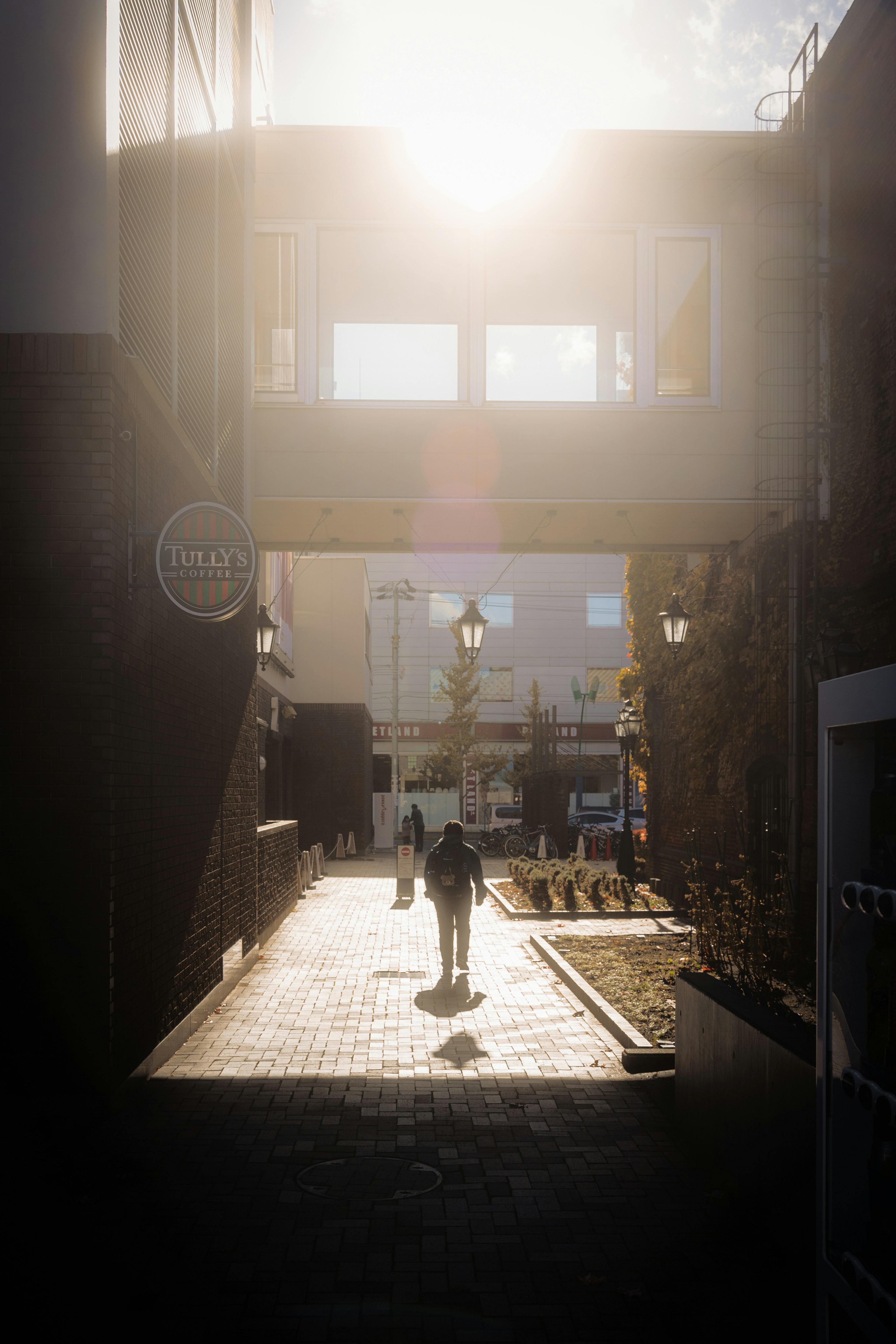 Silhouette of a person walking on a sunlit pathway