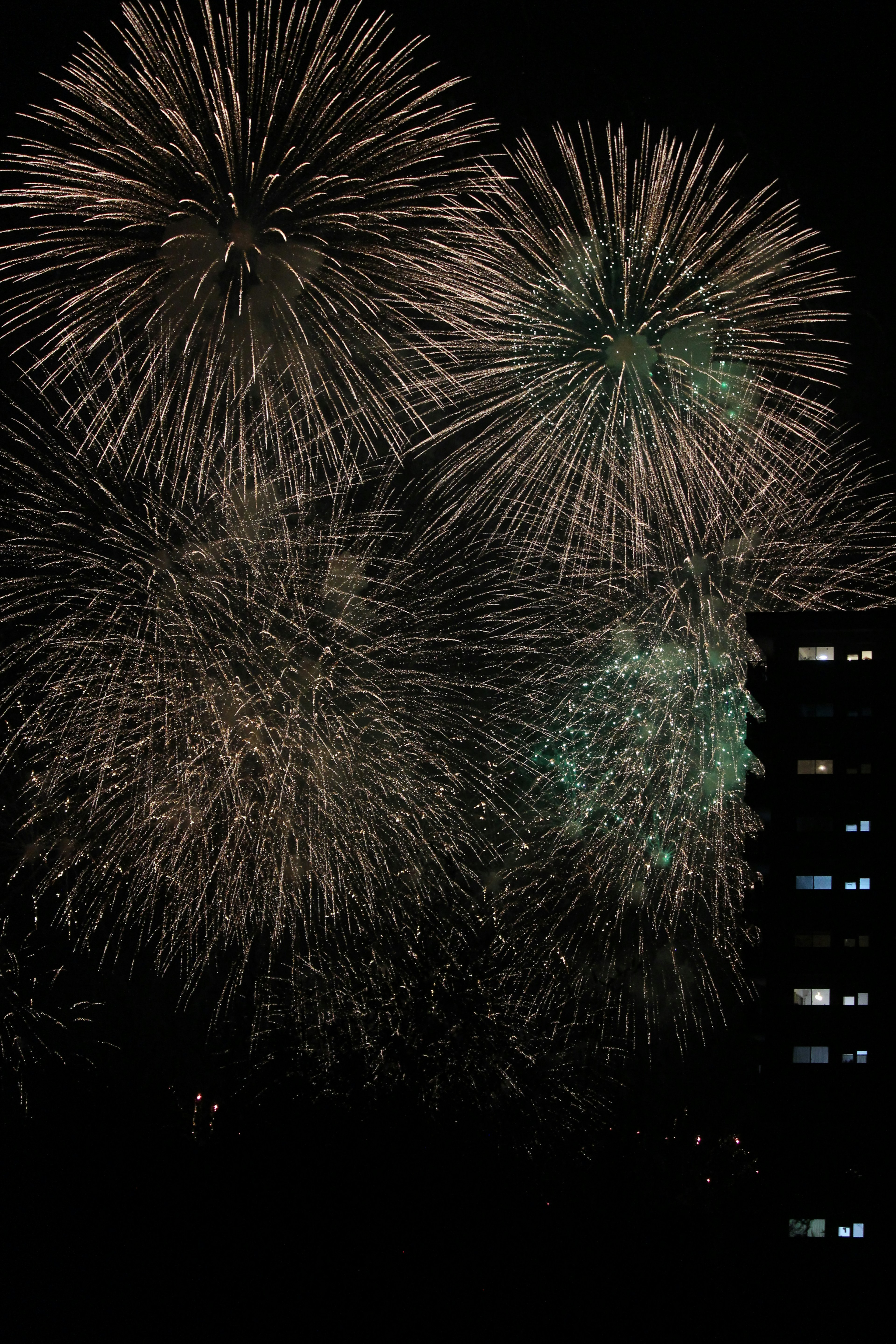 Grandes fuegos artificiales estallando en el cielo nocturno con la silueta de un edificio