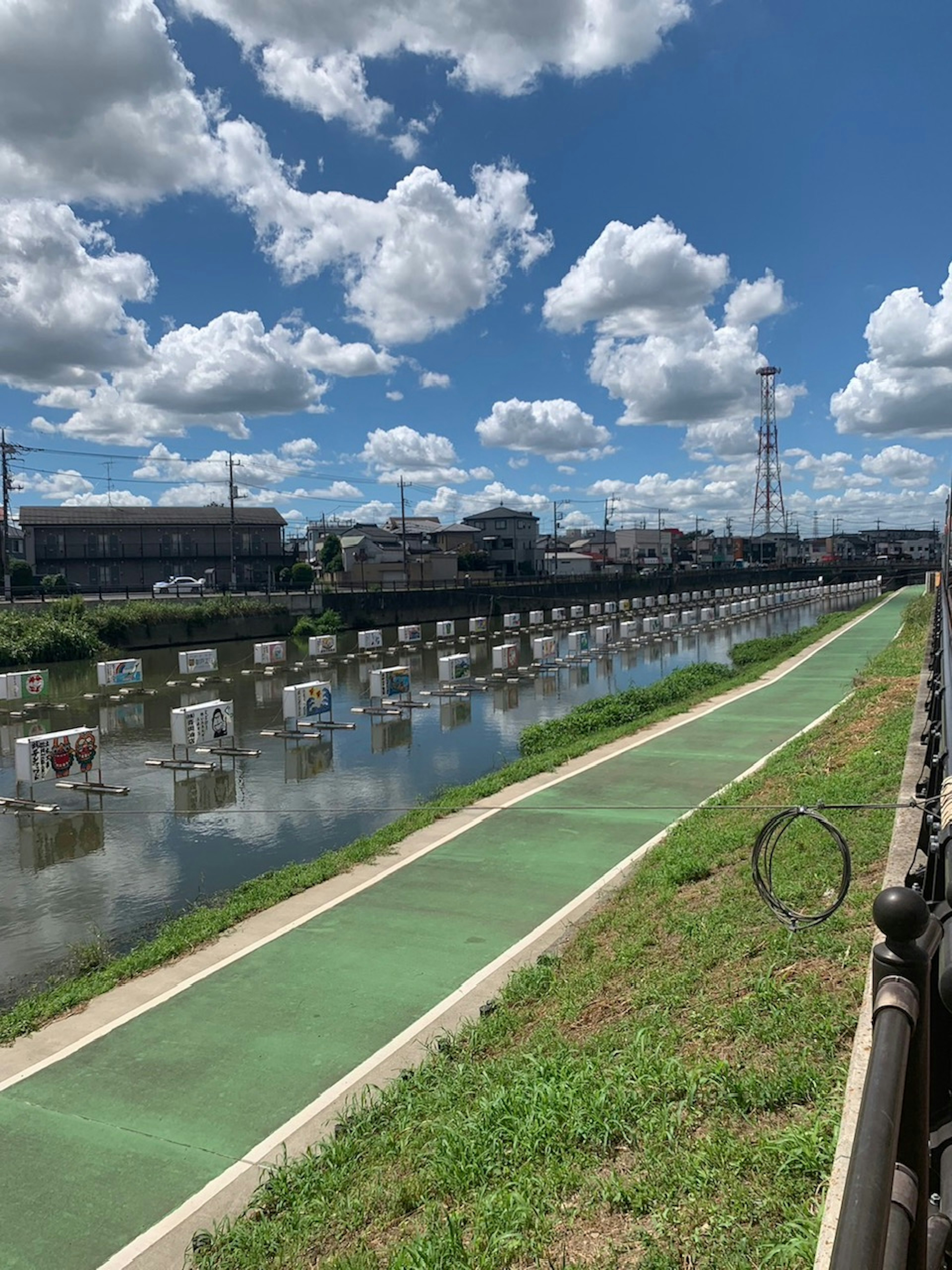 青空の下、緑の歩道と水路が見える風景の写真