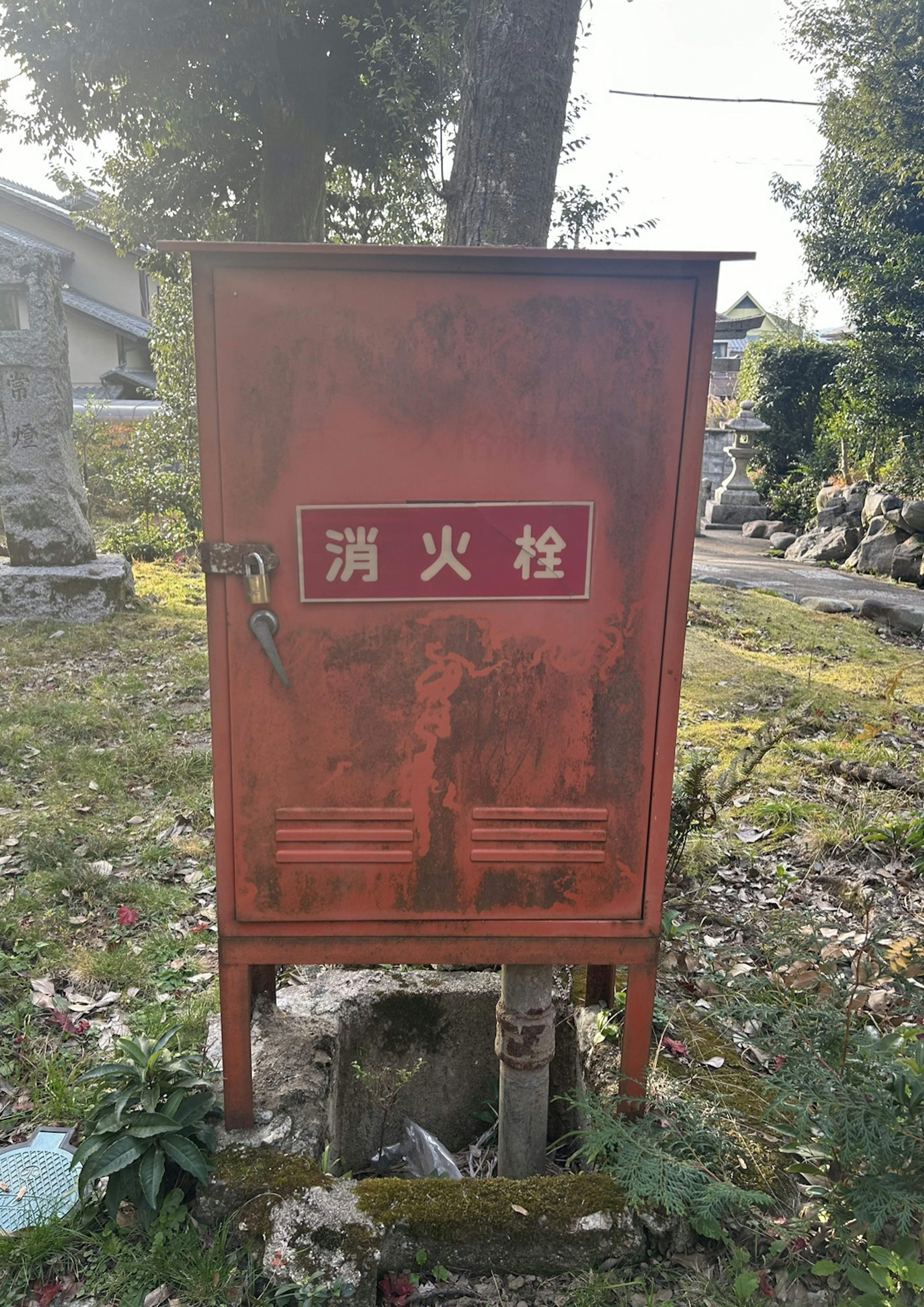 Caja roja de hidrante en un terreno cubierto de hierba