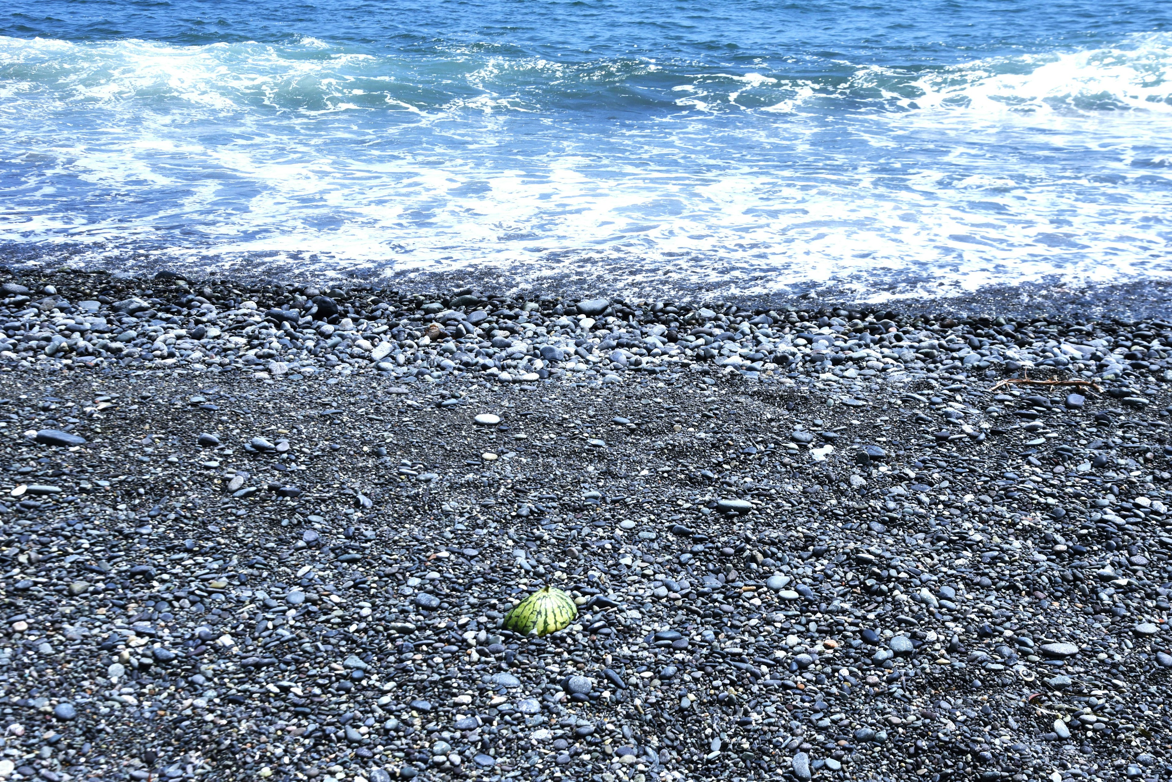 Green object on a rocky beach with blue ocean waves