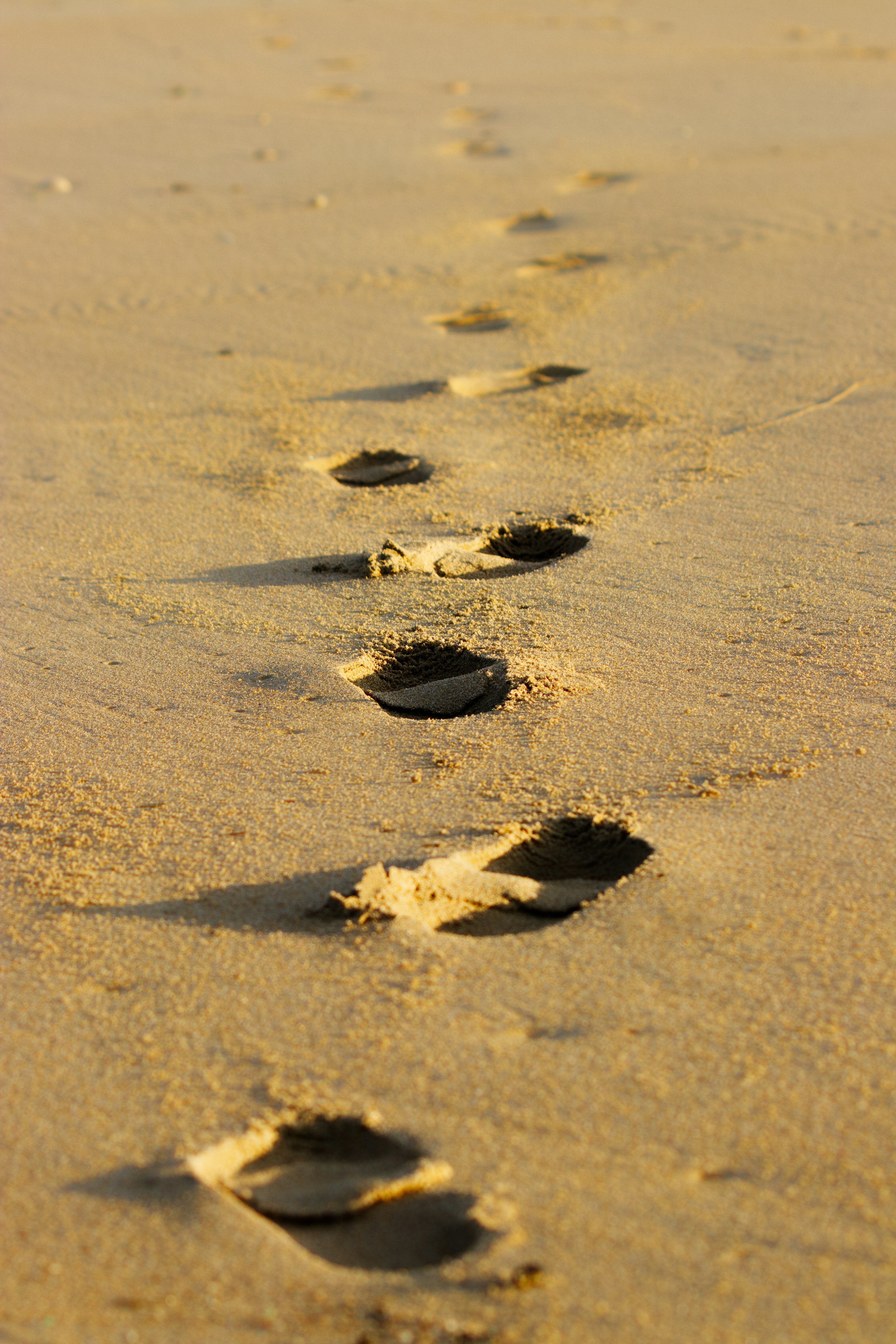 Una fila di impronte sulla spiaggia di sabbia