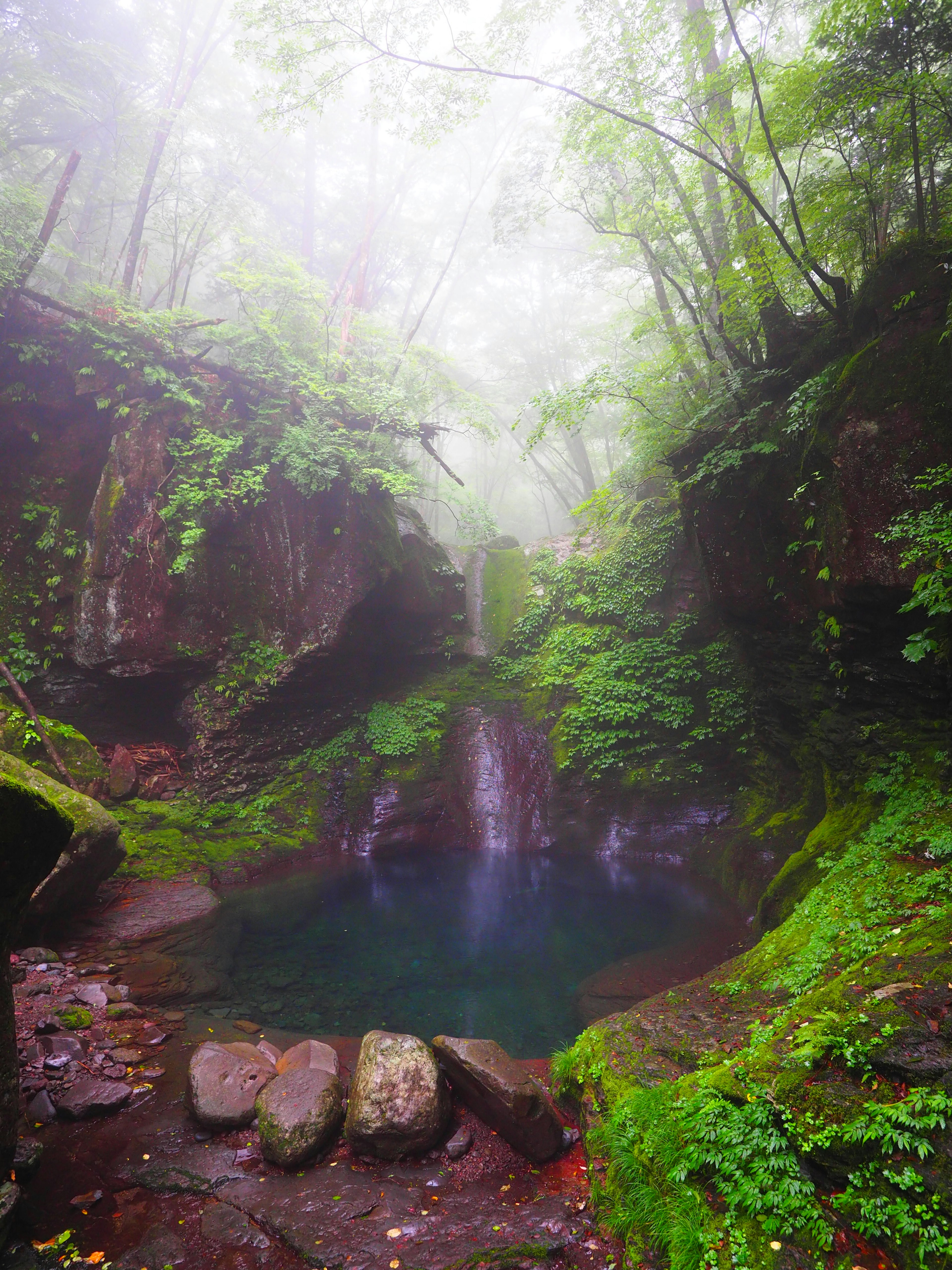 Paisaje sereno con una cascada y un estanque rodeados de vegetación exuberante y niebla