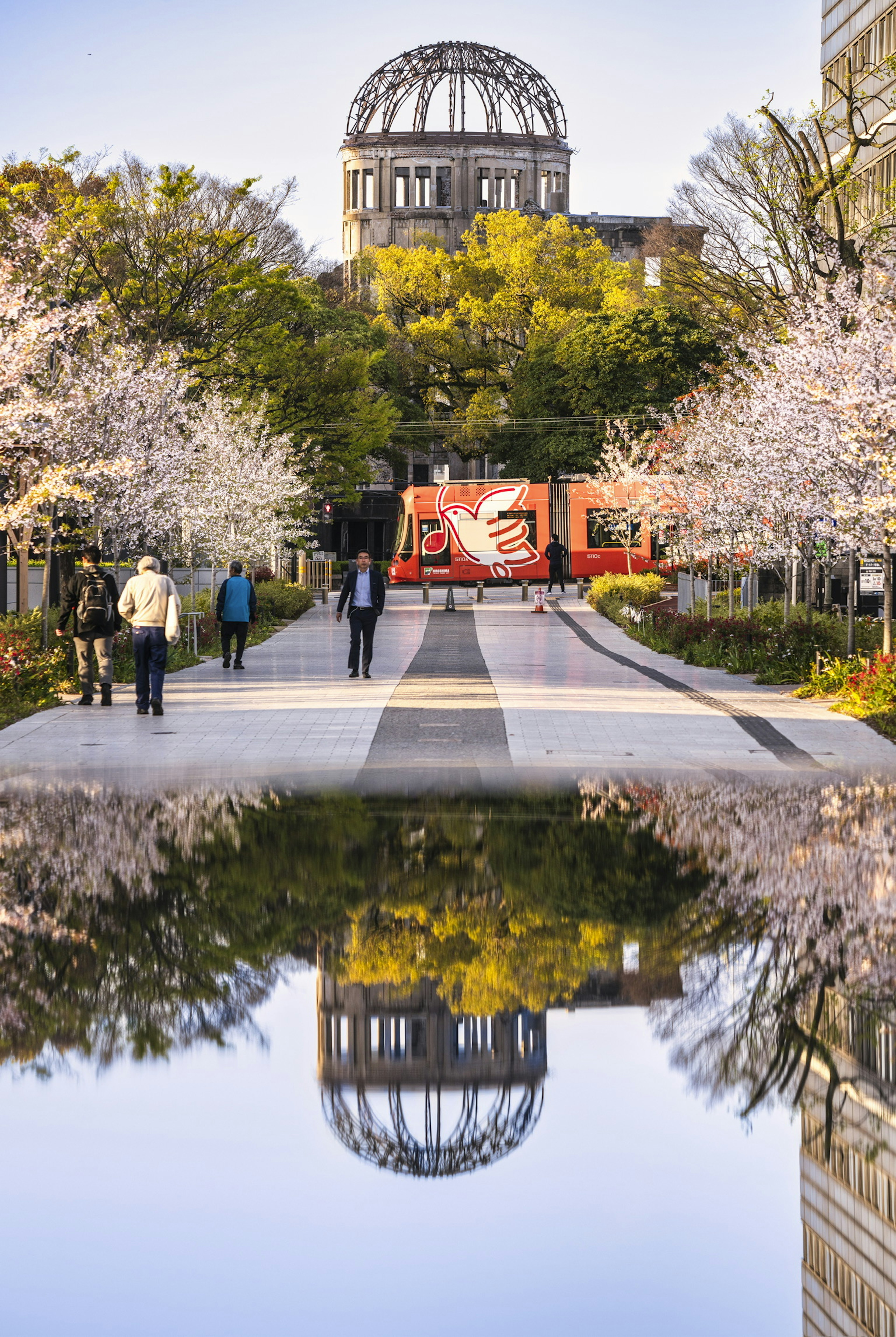 Mémorial de la paix d'Hiroshima et cerisiers dans un parc