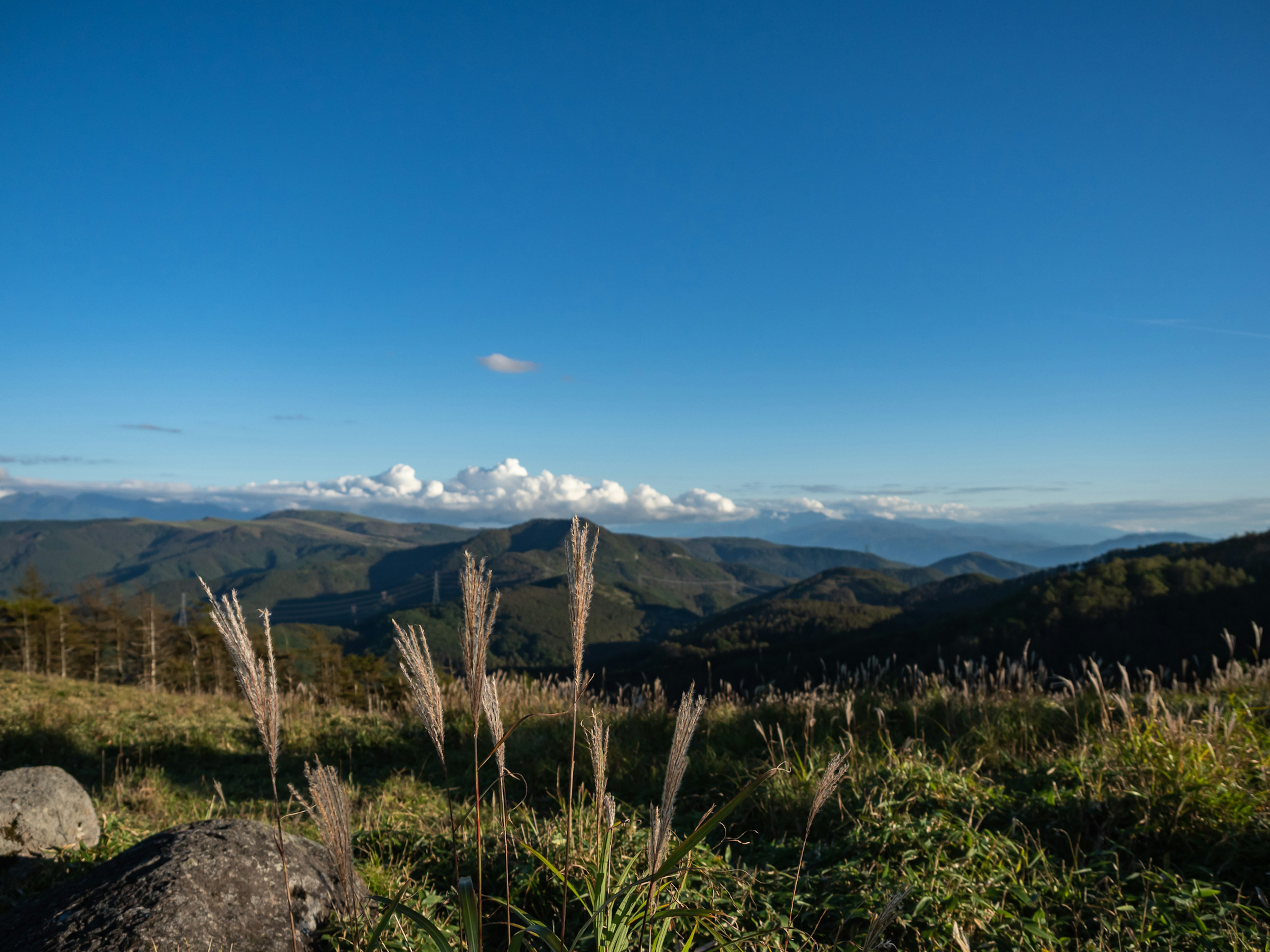 Paesaggio montano con erba sotto un cielo blu chiaro