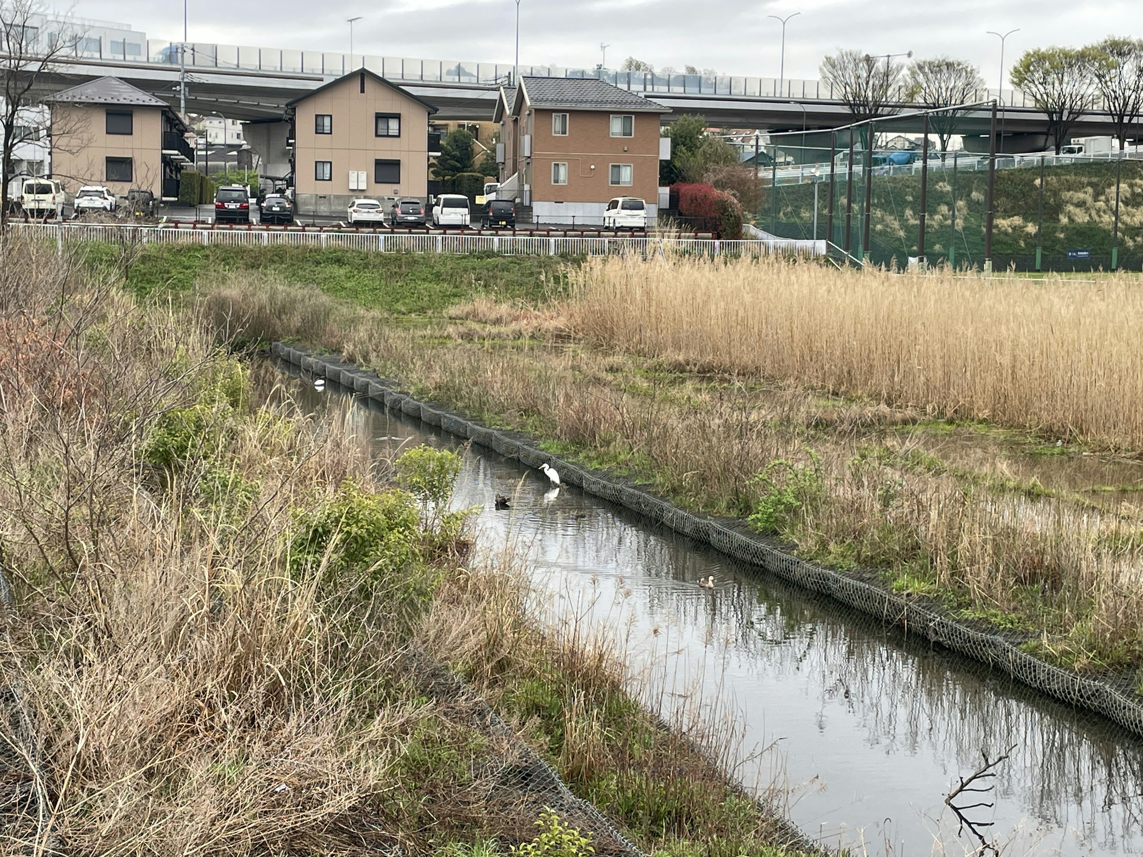 Zone résidentielle entourée d'herbe et d'un ruisseau