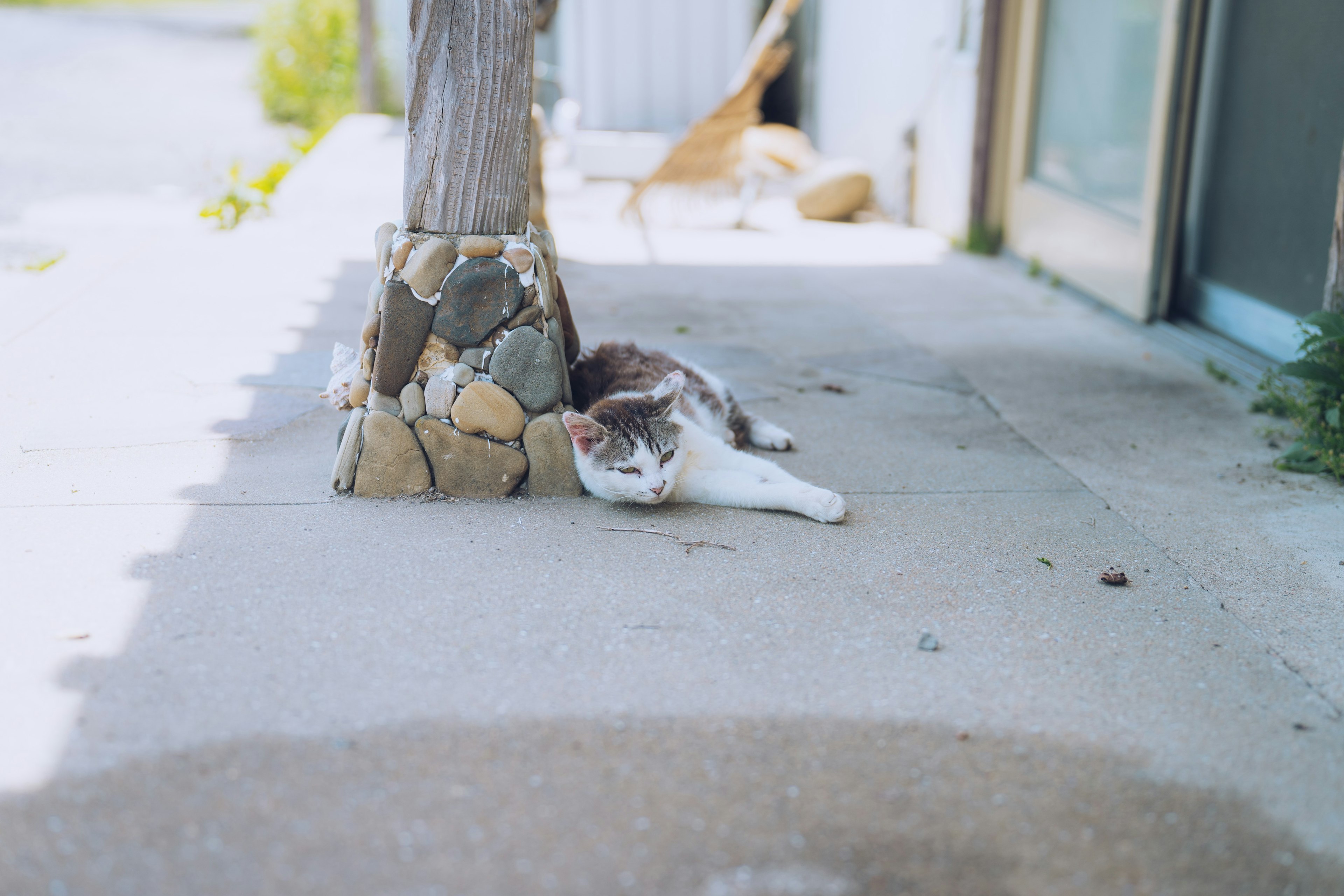 A cat lying beside a stone pillar on a sidewalk