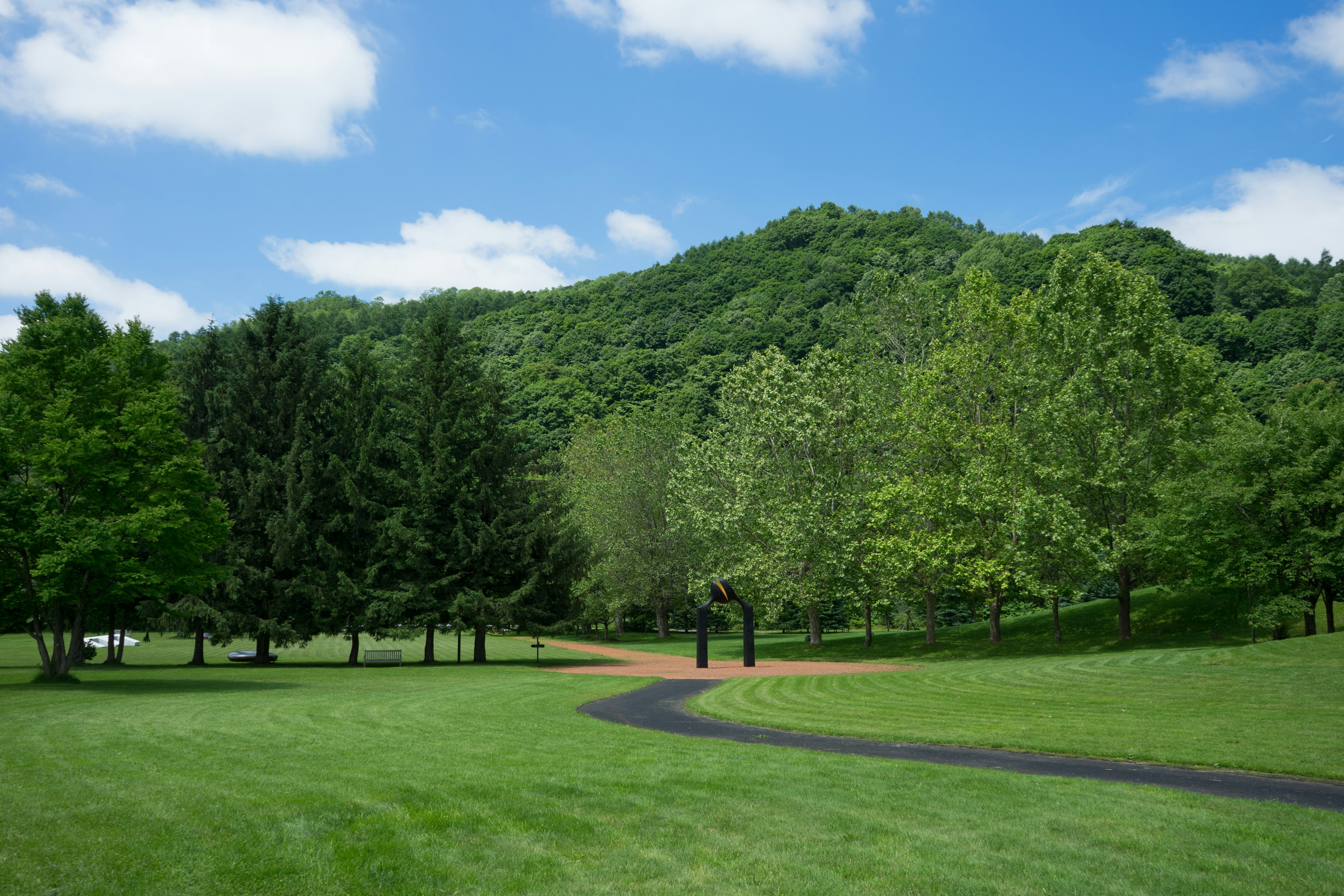 Paysage de parc avec des arbres verts ciel bleu et nuages blancs