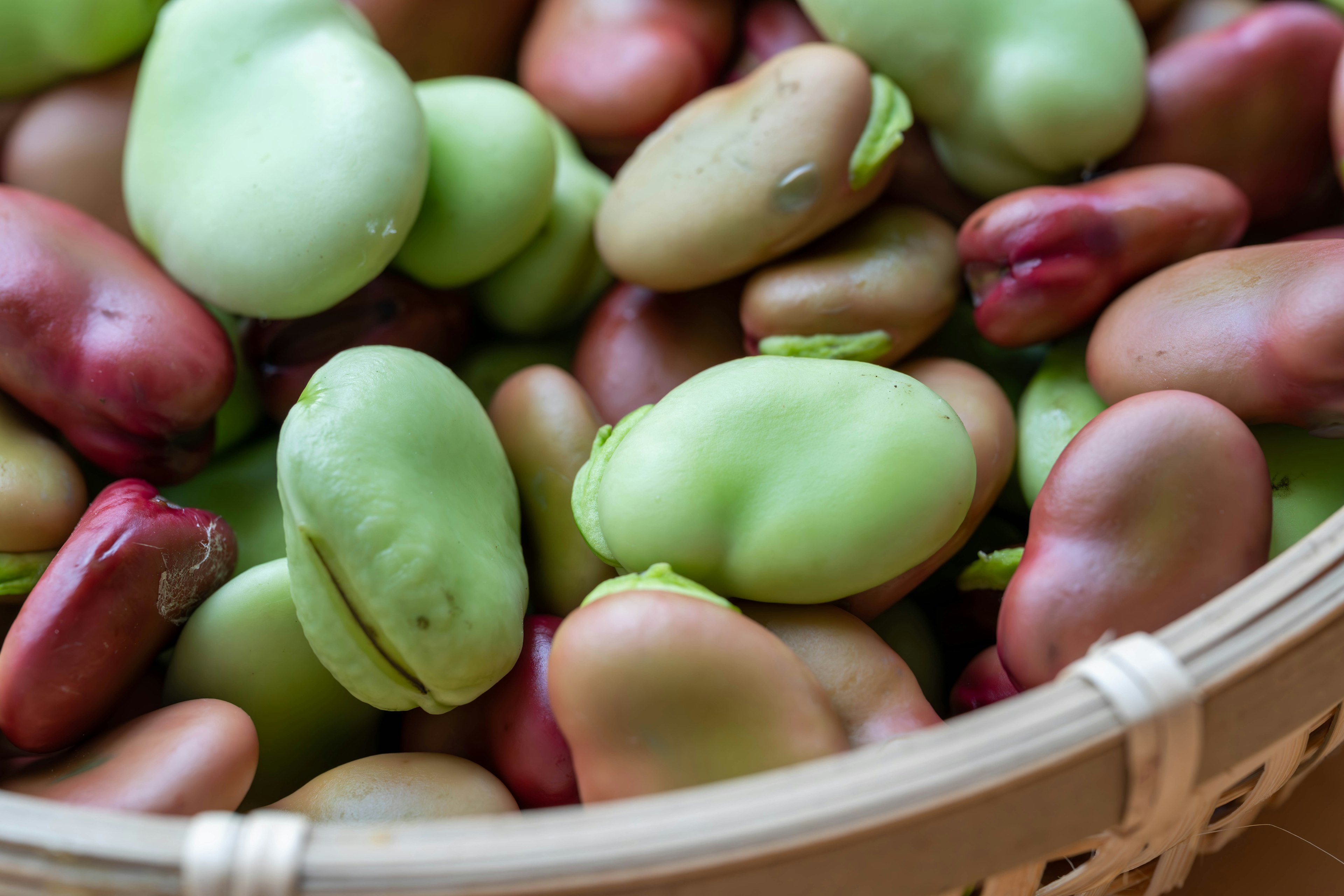 A mix of green and reddish-brown beans in a woven basket