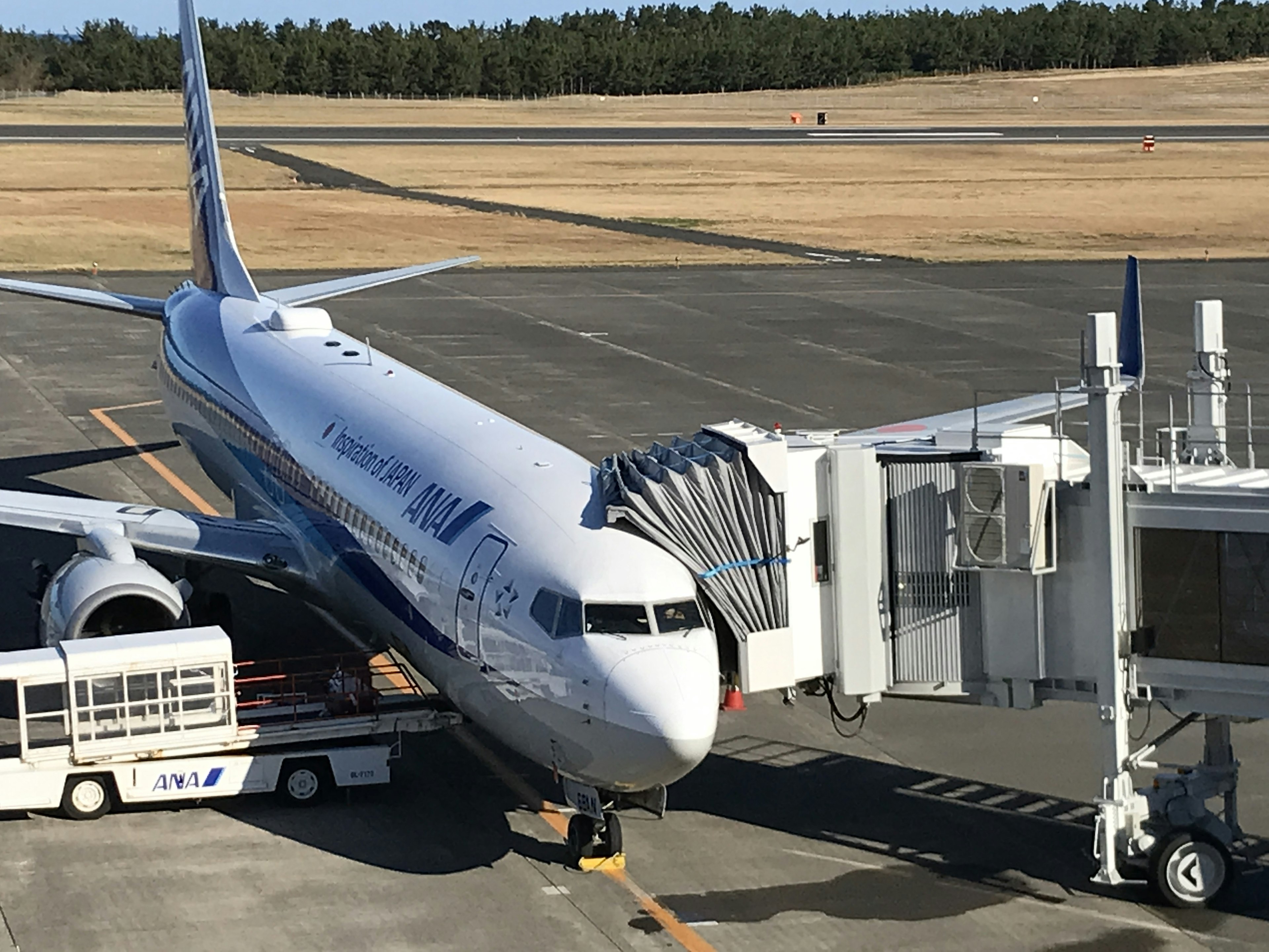 Airplane connected to boarding gate