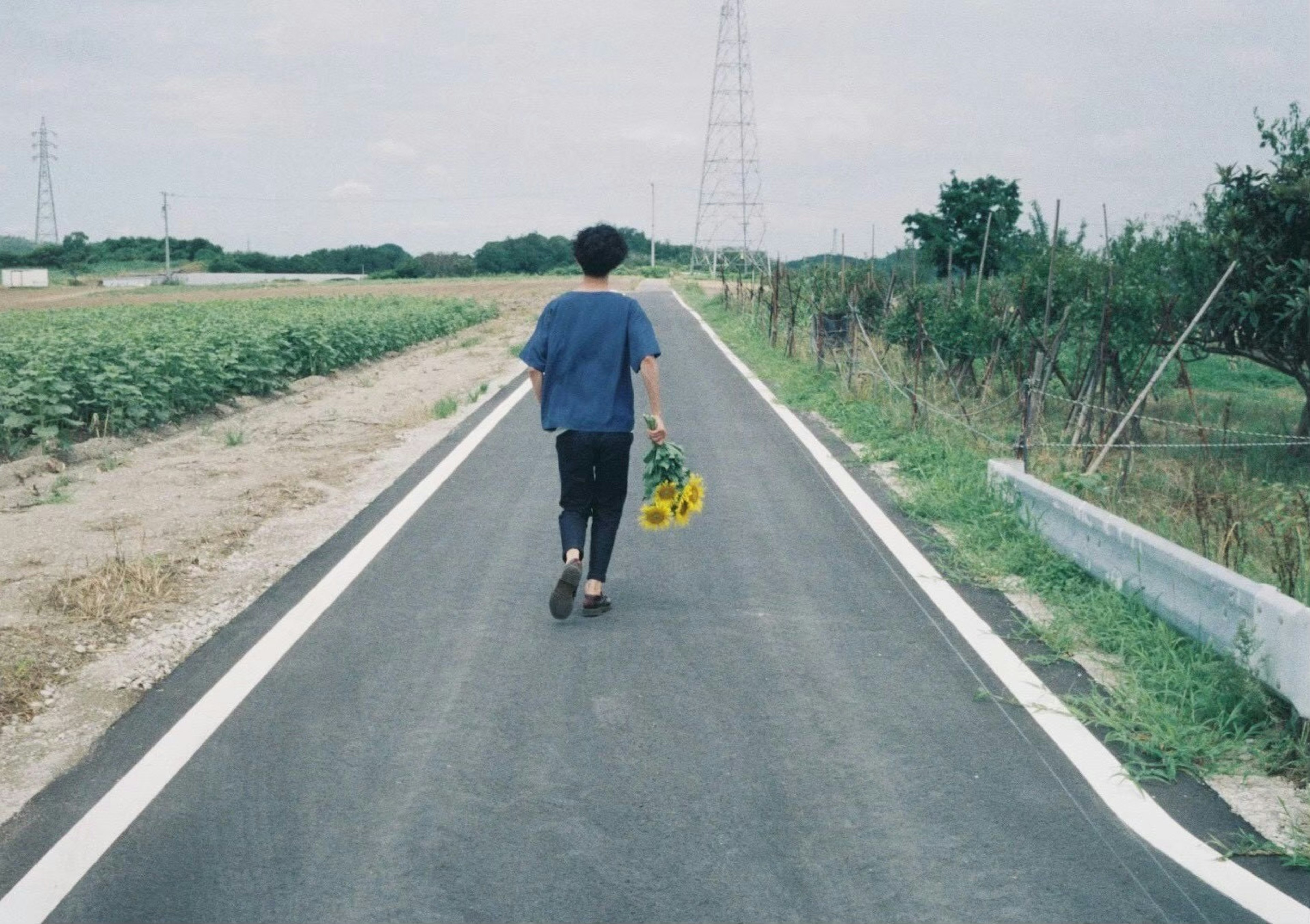 穿着蓝衬衫的人在乡村道路上走着，手里拿着向日葵