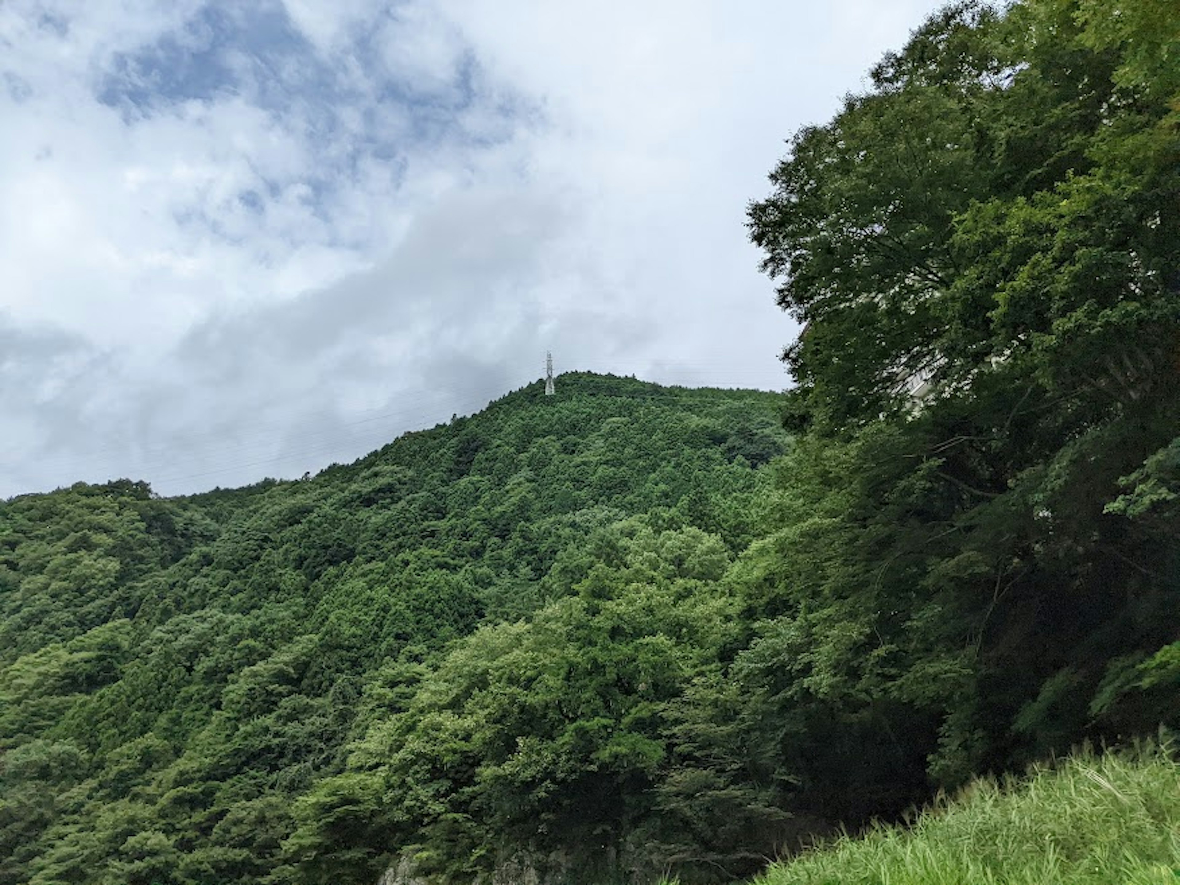 Üppige grüne Berglandschaft mit einem Sendemast auf dem Gipfel