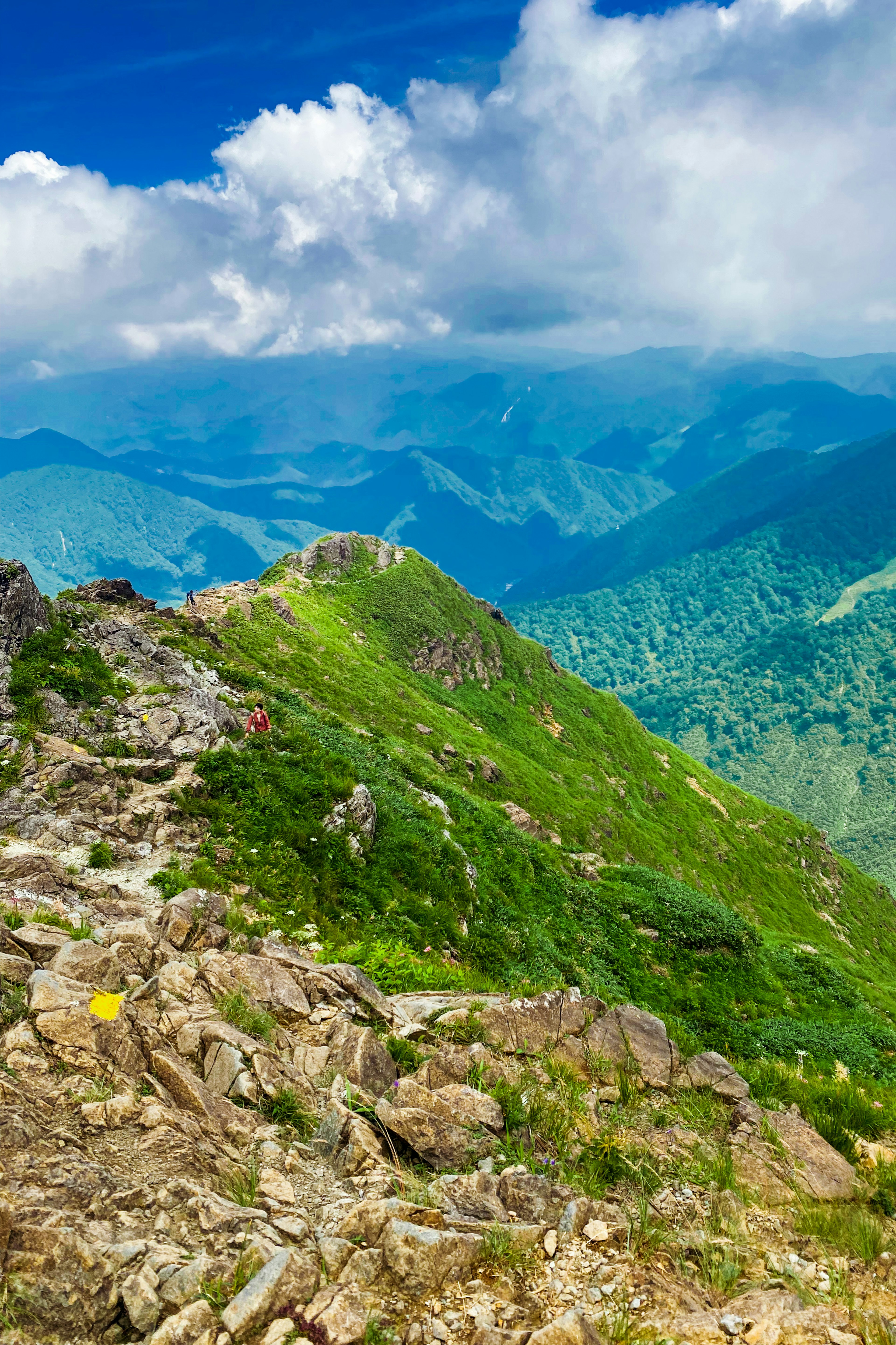 緑豊かな山の風景と青空が広がる