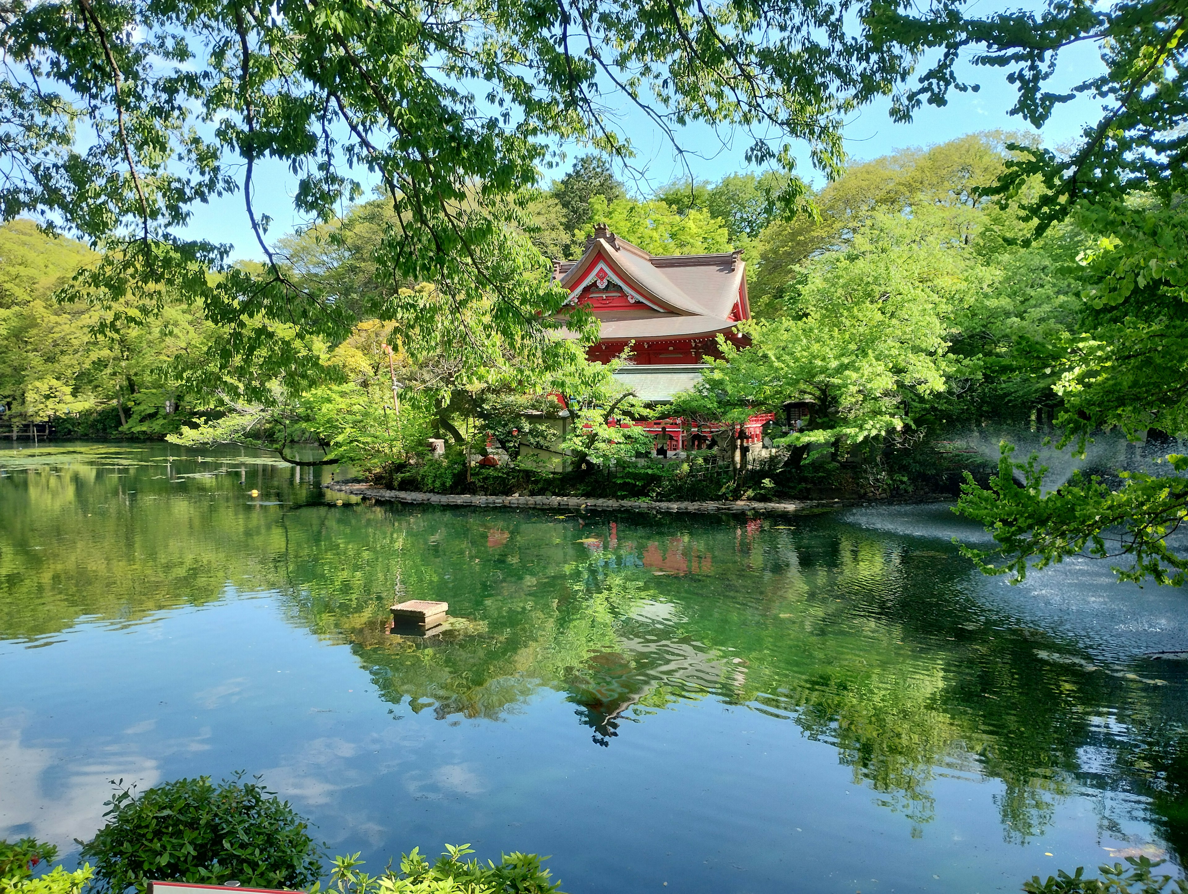 傳統紅色建築被郁郁蔥蔥的綠樹環繞，倒映在寧靜的池塘中