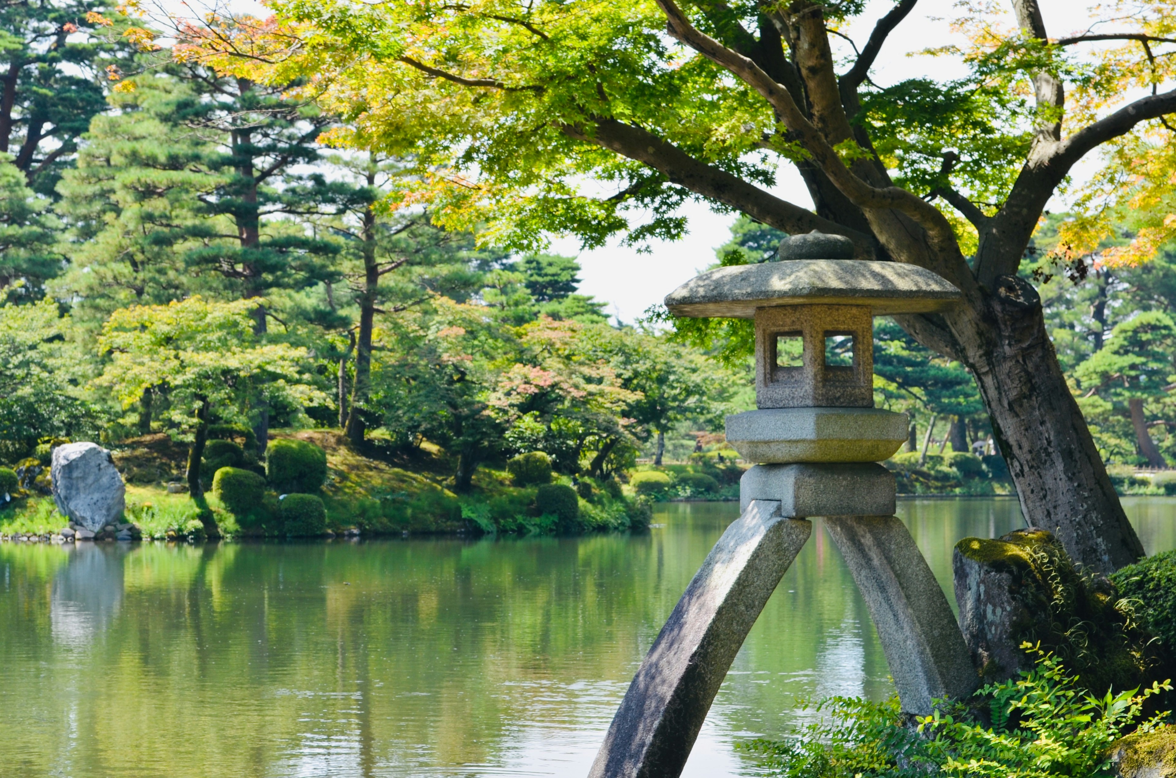 静かな池のほとりに立つ灯篭と緑の木々