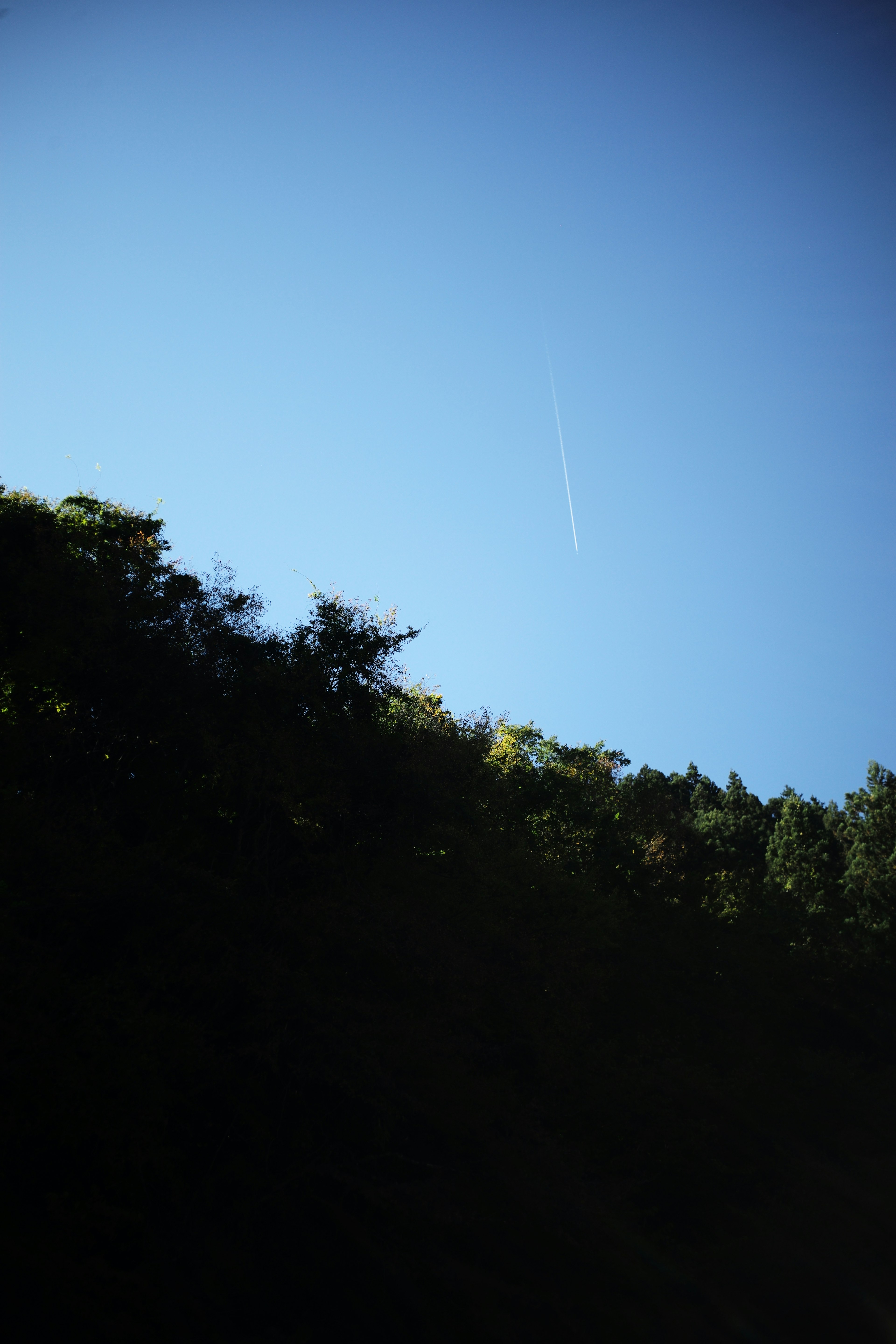 青空と木々のシルエットが特徴的な風景