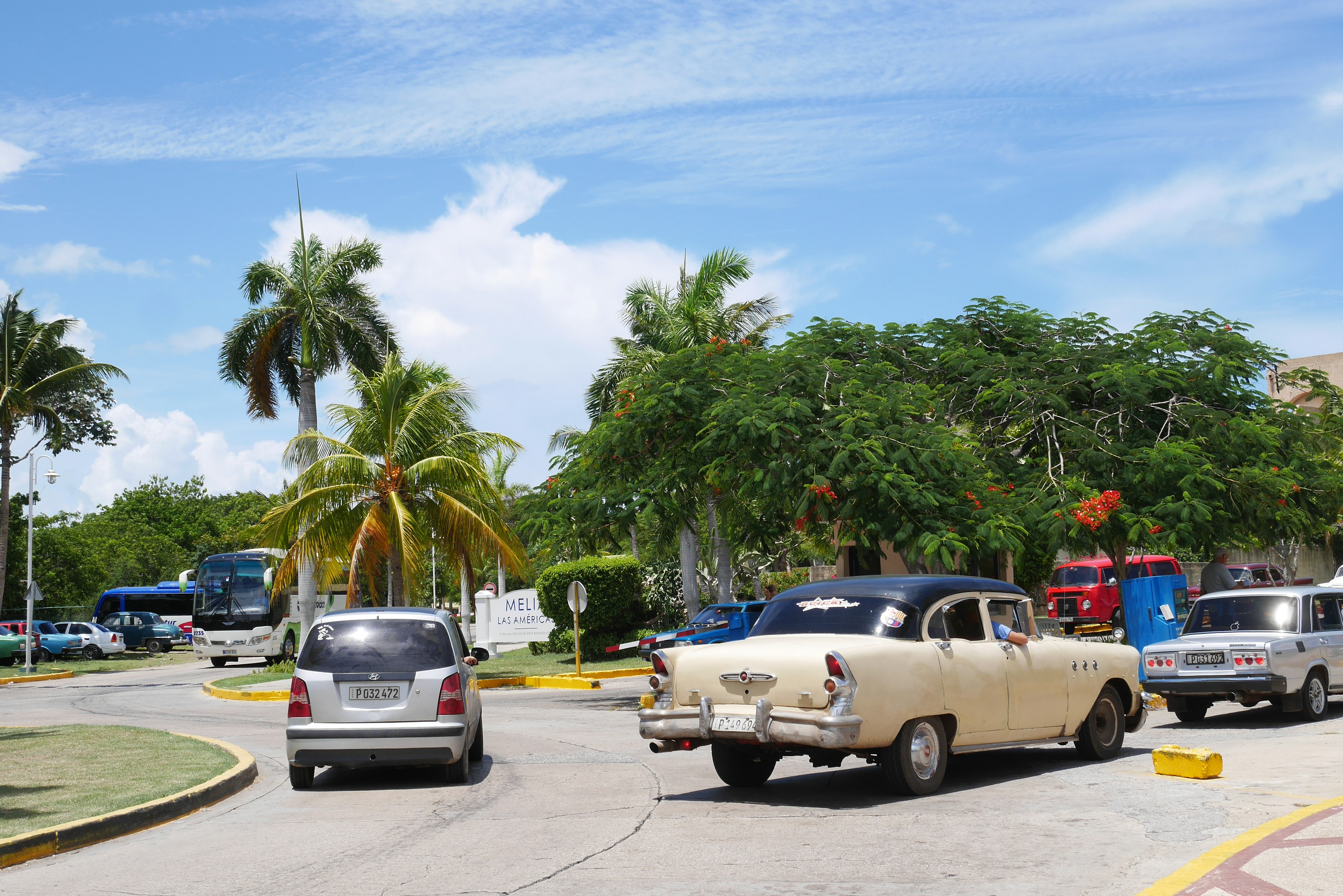 A vintage car and modern vehicles on a sunny day in a tropical setting