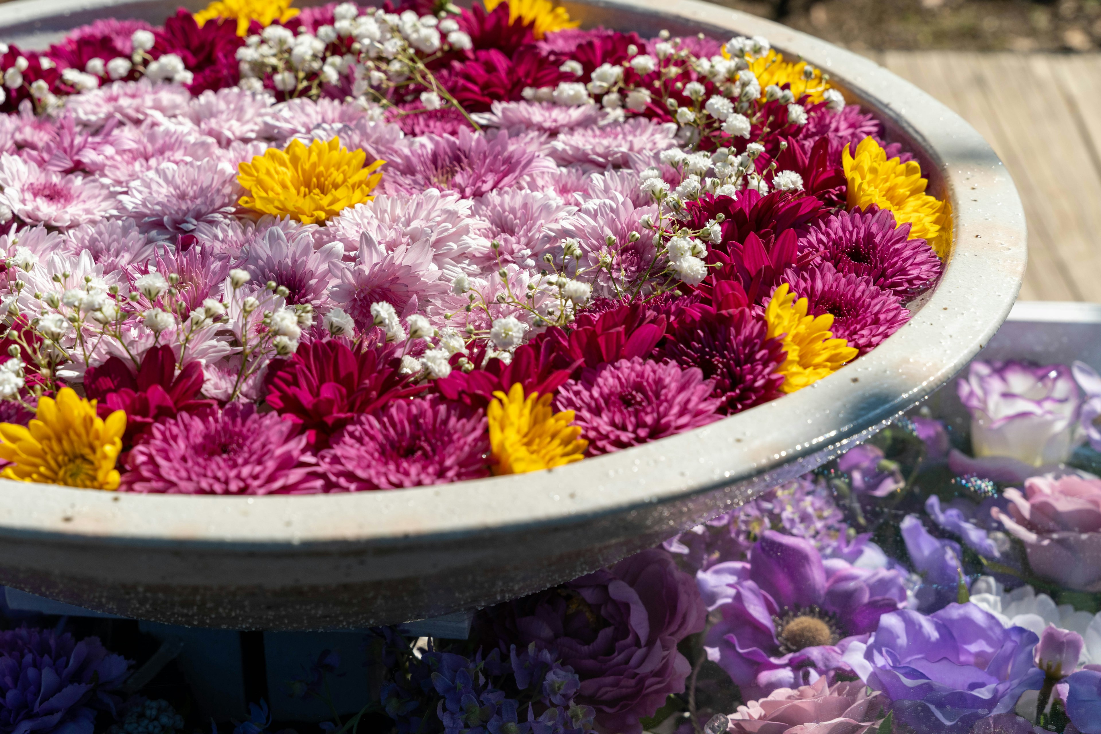 Flores coloridas flotando en un cuenco de piedra lleno de agua