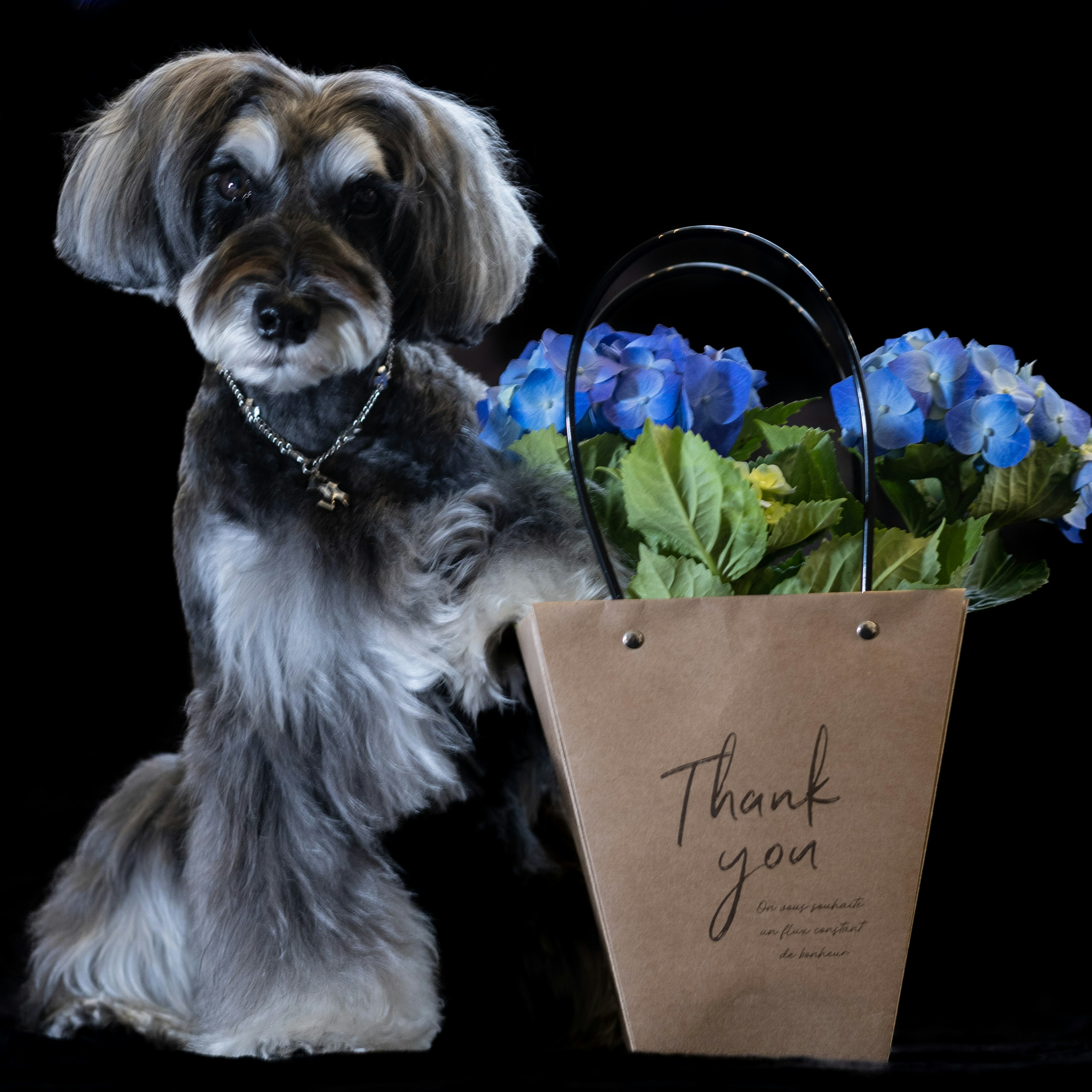 Ein Hund steht neben einer braunen Papiertüte mit blauen Blumen und einer Dankesnotiz