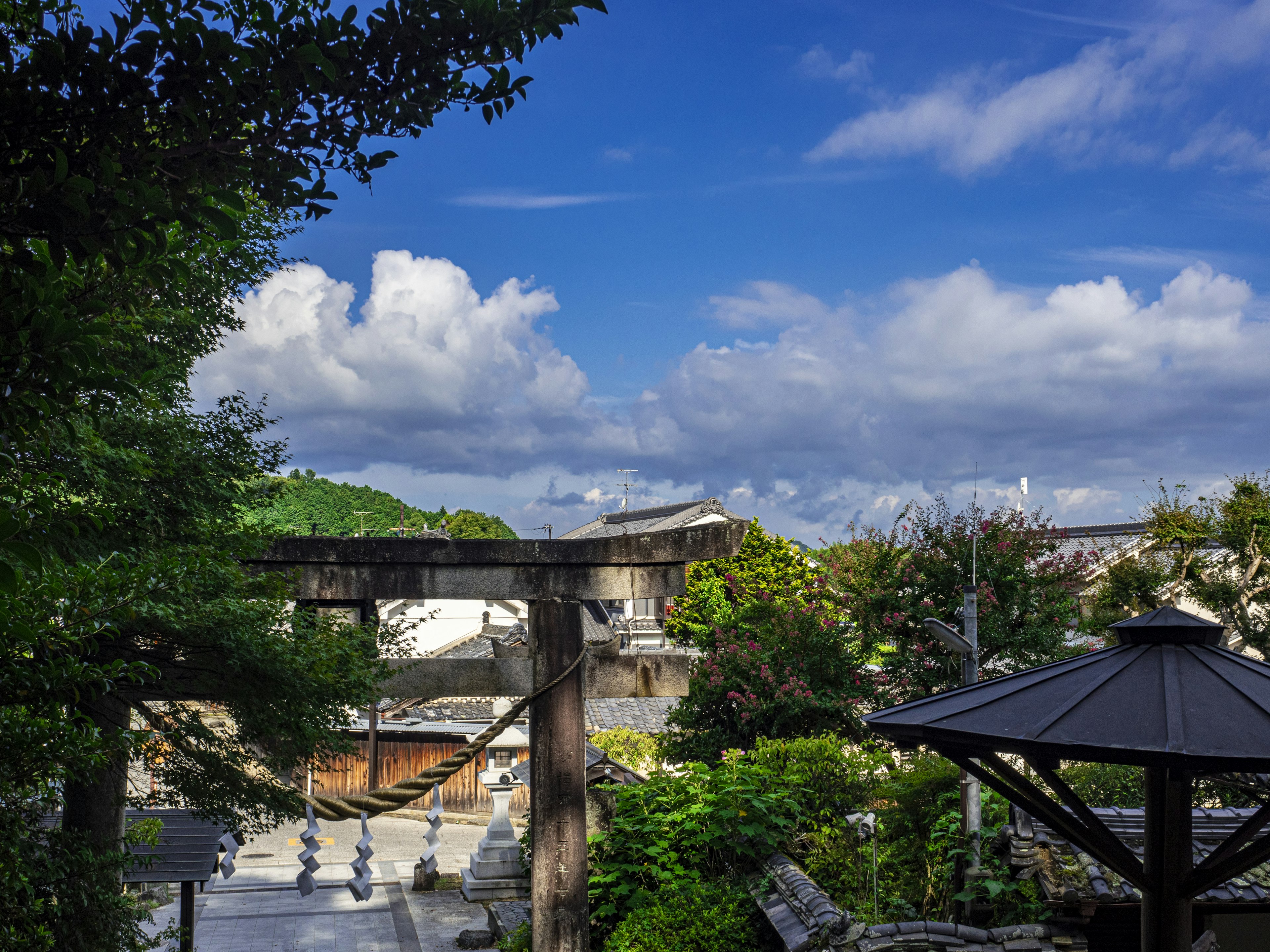 Scenic view of a garden with blue sky and white clouds featuring a wooden torii gate and lush greenery