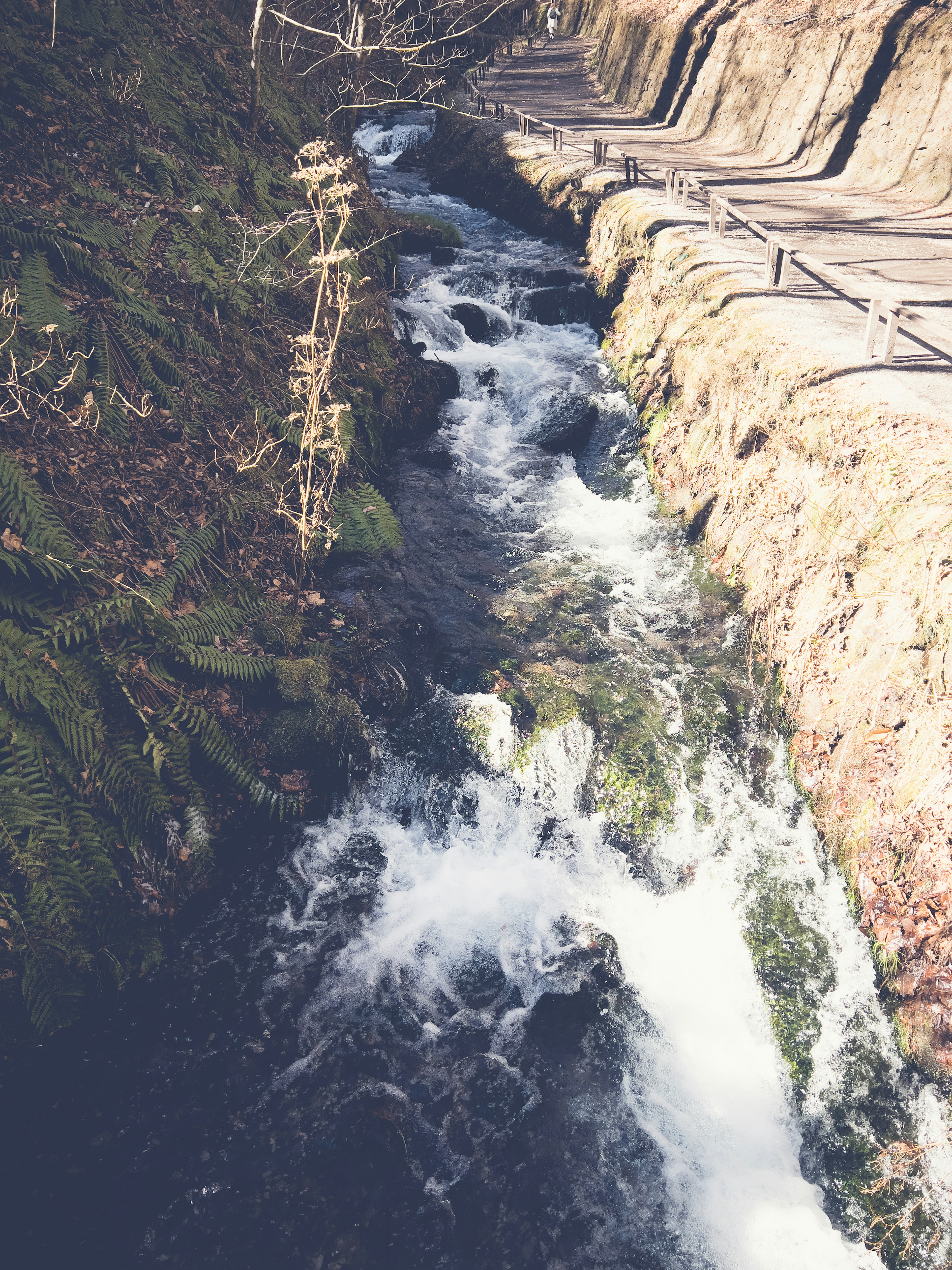 A stream flowing over rocks with mossy banks