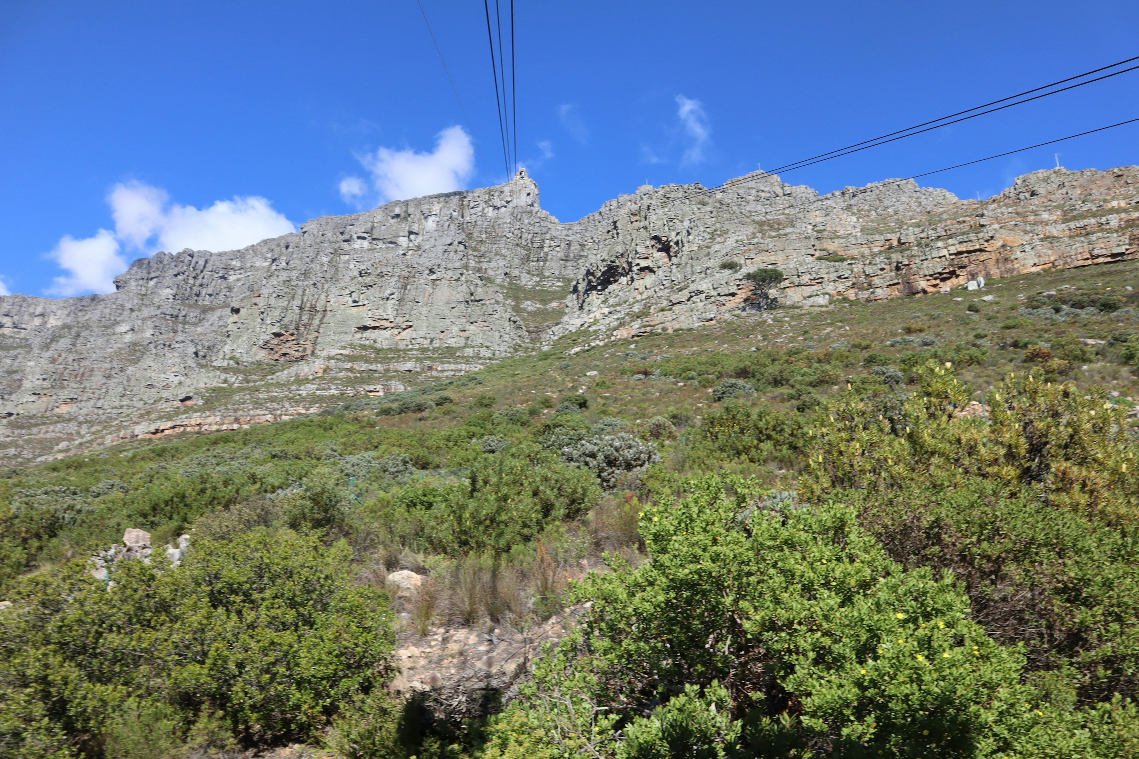 Vista della ripida pendenza verde della Table Mountain sotto un cielo azzurro