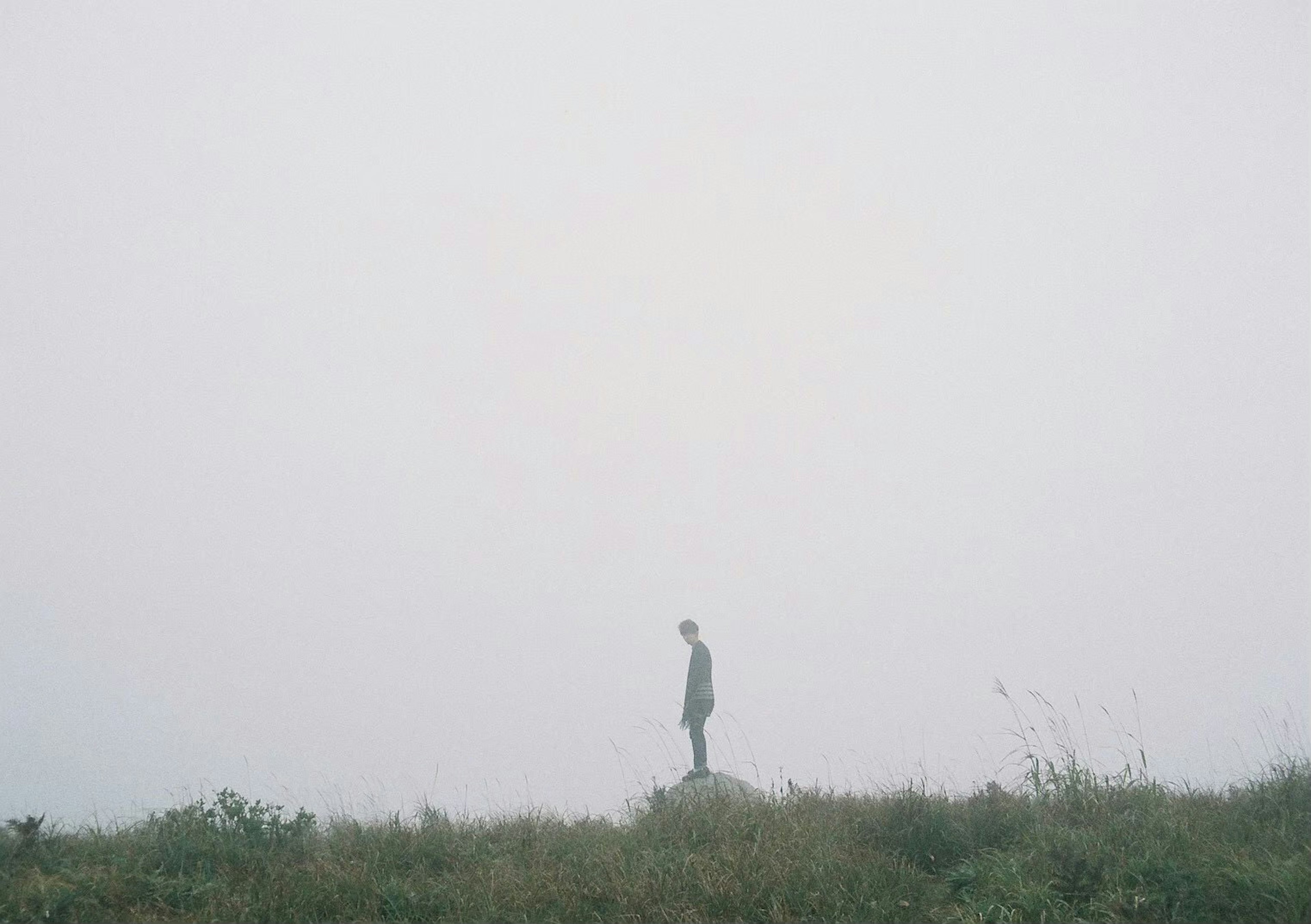 Silhouette seorang yang berdiri dalam kabut dengan rumput hijau