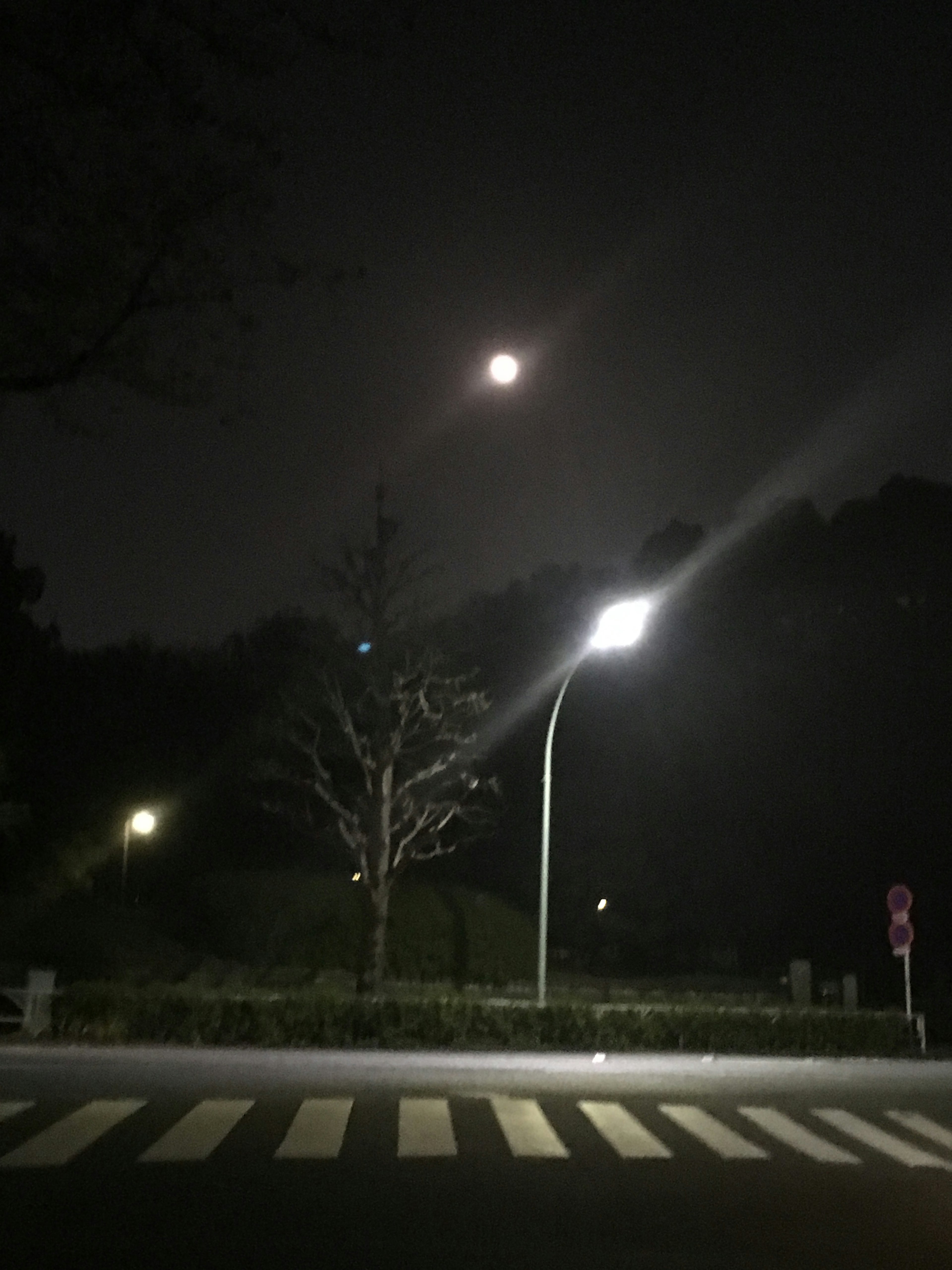 Luna che brilla sopra un parco scuro con lampioni