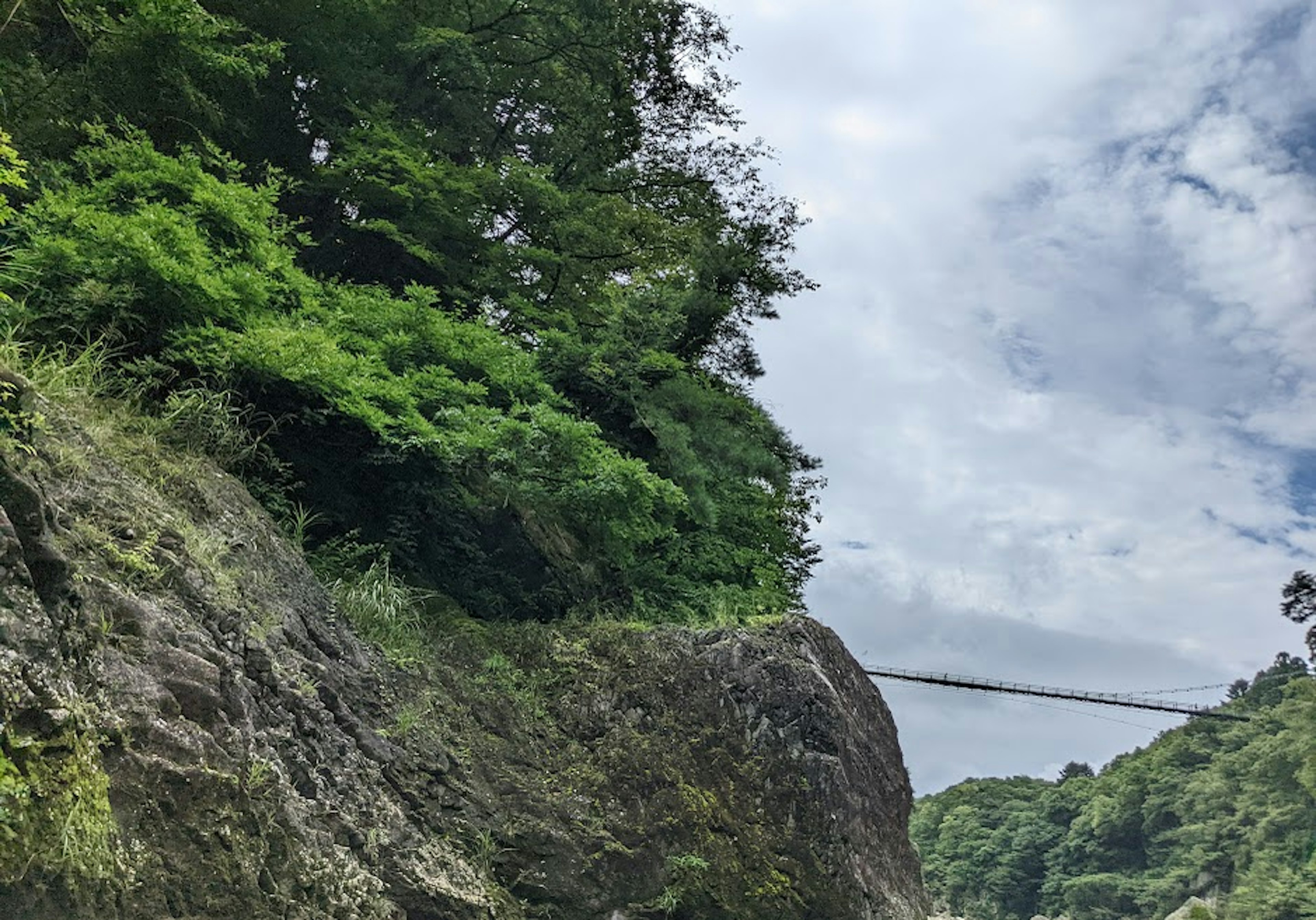 郁郁葱葱的绿色植物和岩石地形的风景