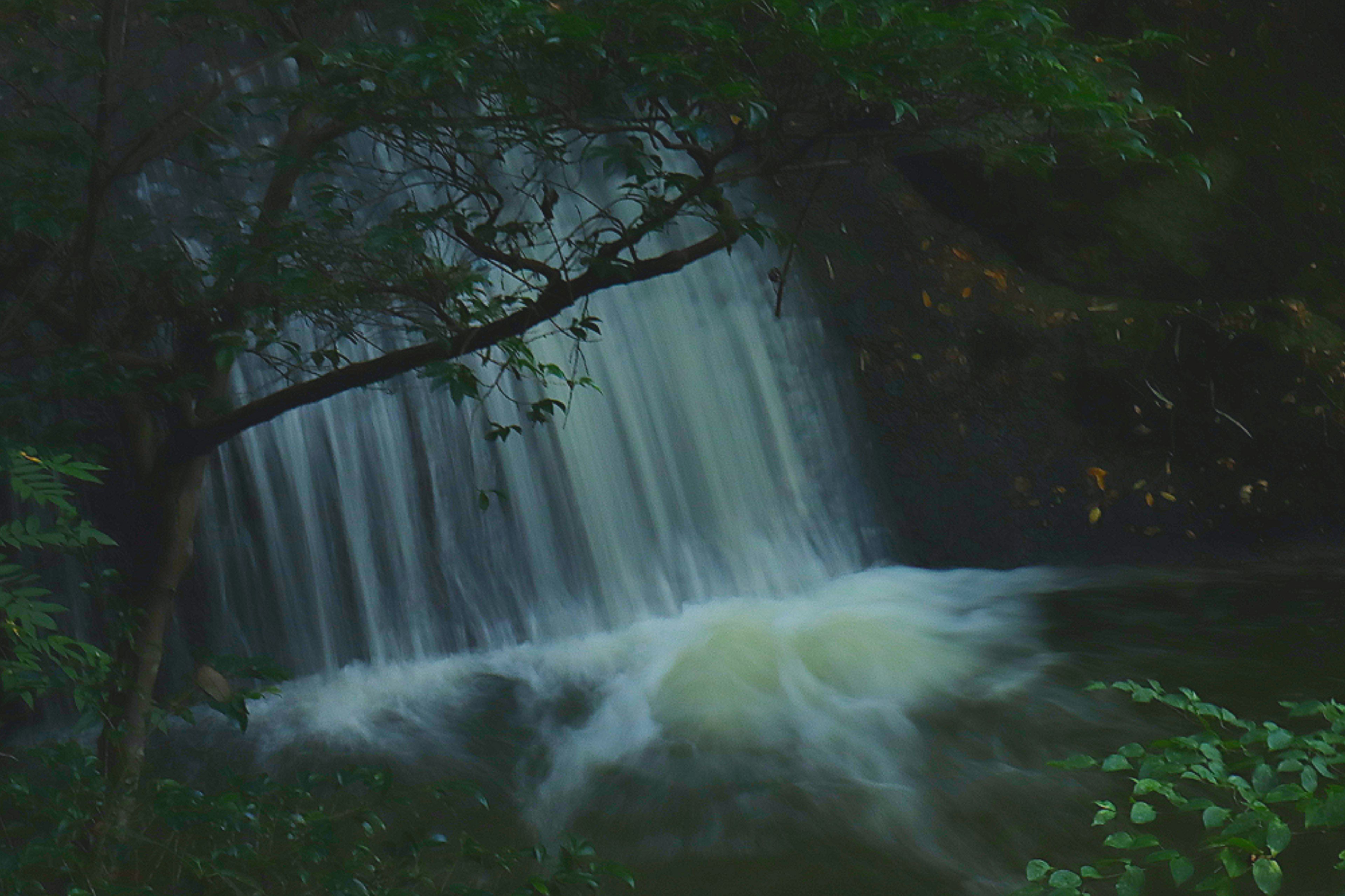 Hermosa escena de una cascada fluyendo en un bosque oscuro