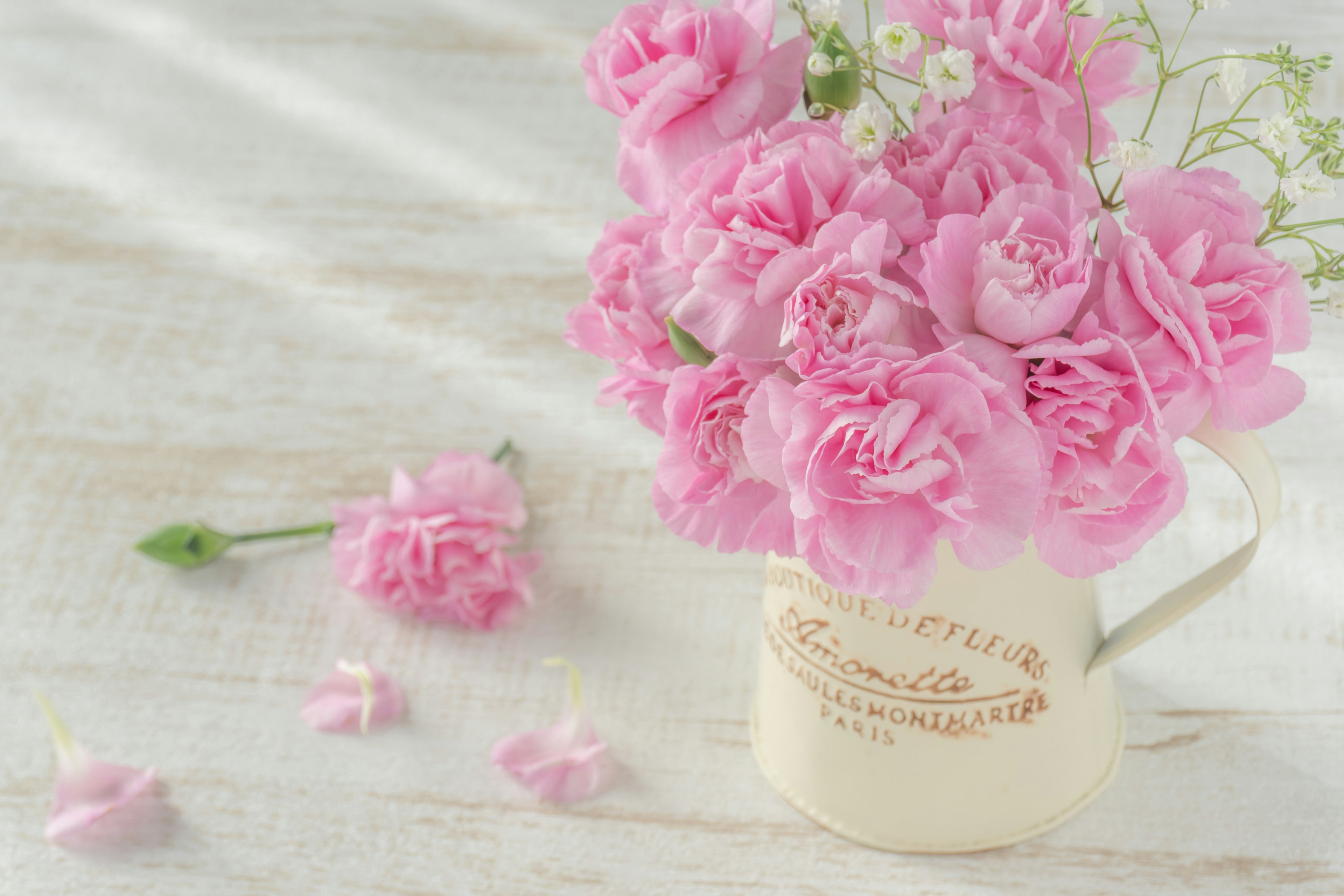 A bouquet of pink carnations in a white cup with some scattered petals