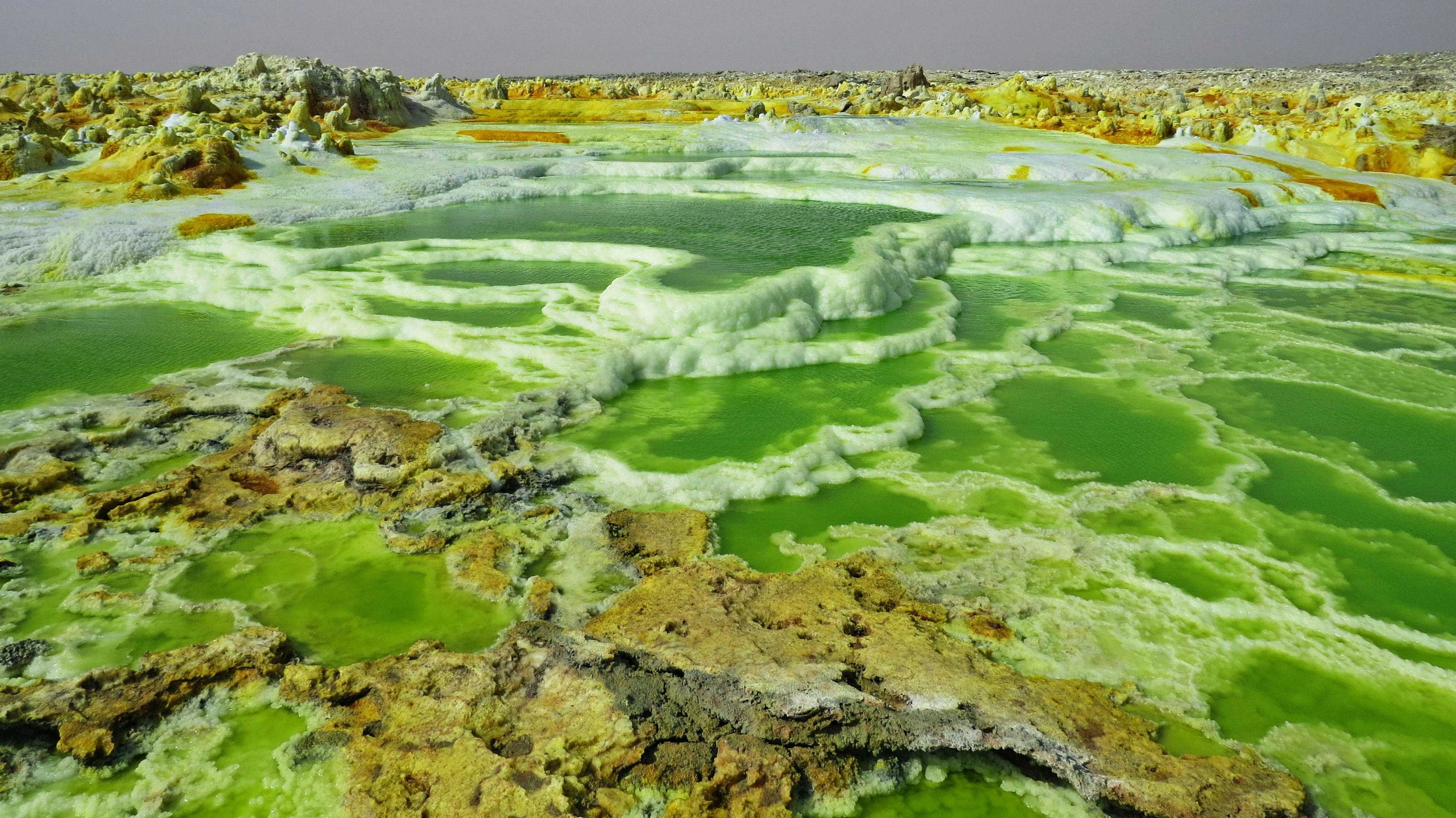 Agua verde vibrante y paisaje rocoso en la depresión de Danakil