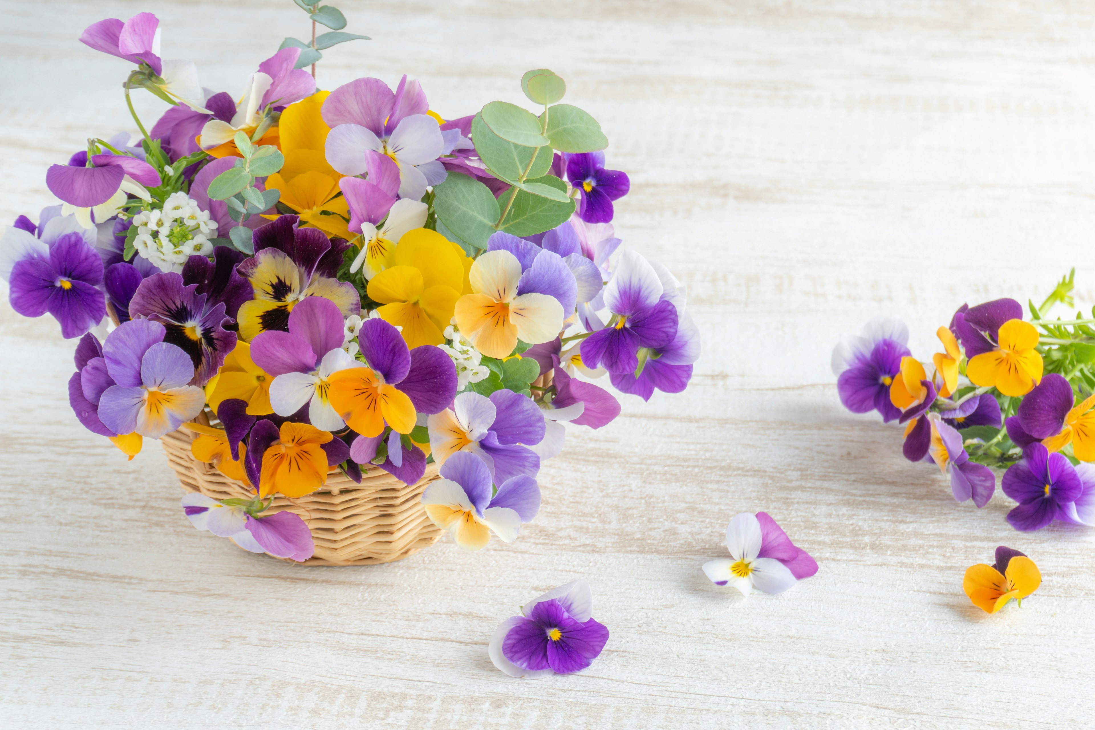 Cesta llena de flores moradas y amarillas rodeada de pétalos esparcidos