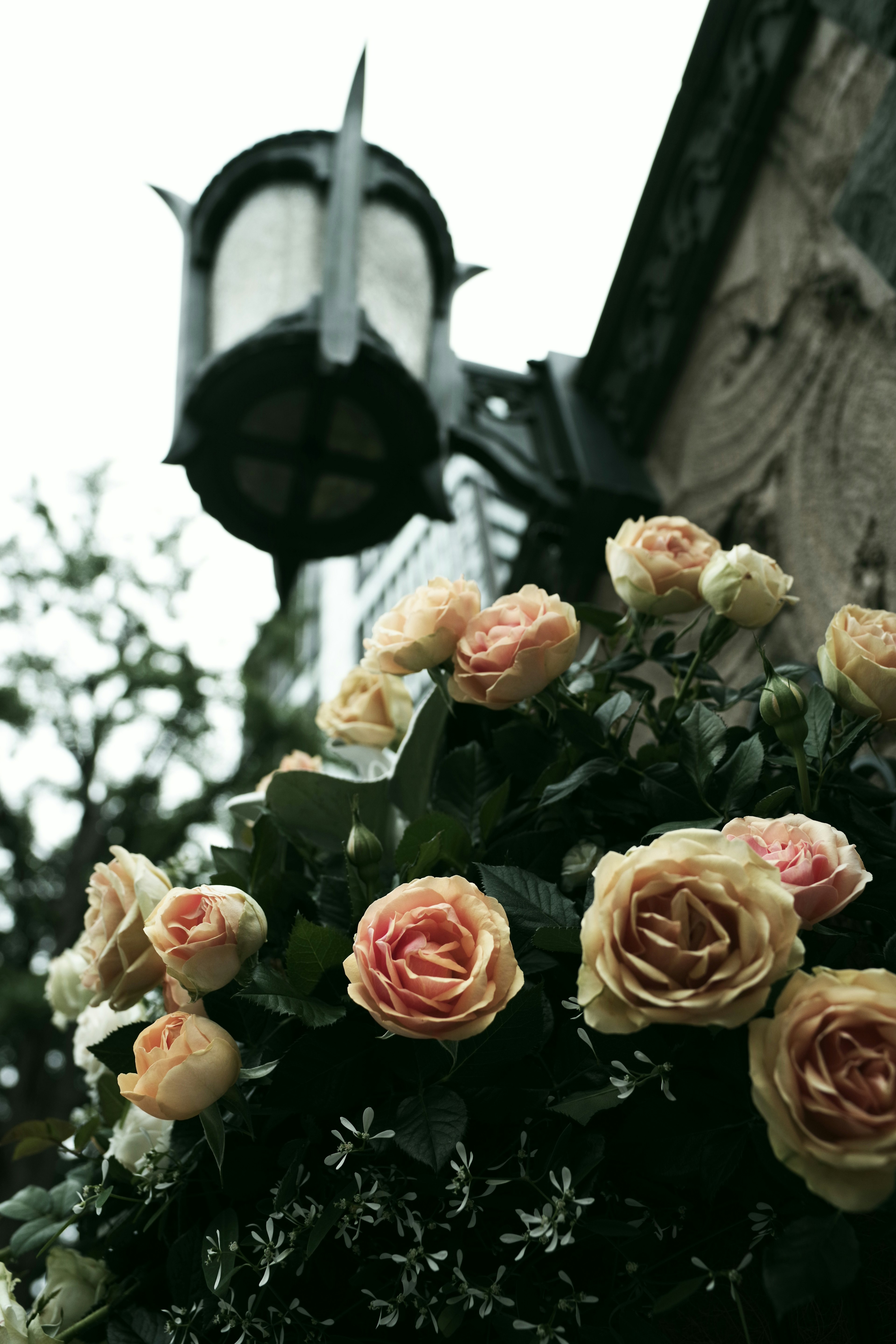 Una vista panoramica con una lampada e un bouquet di rose di vari colori