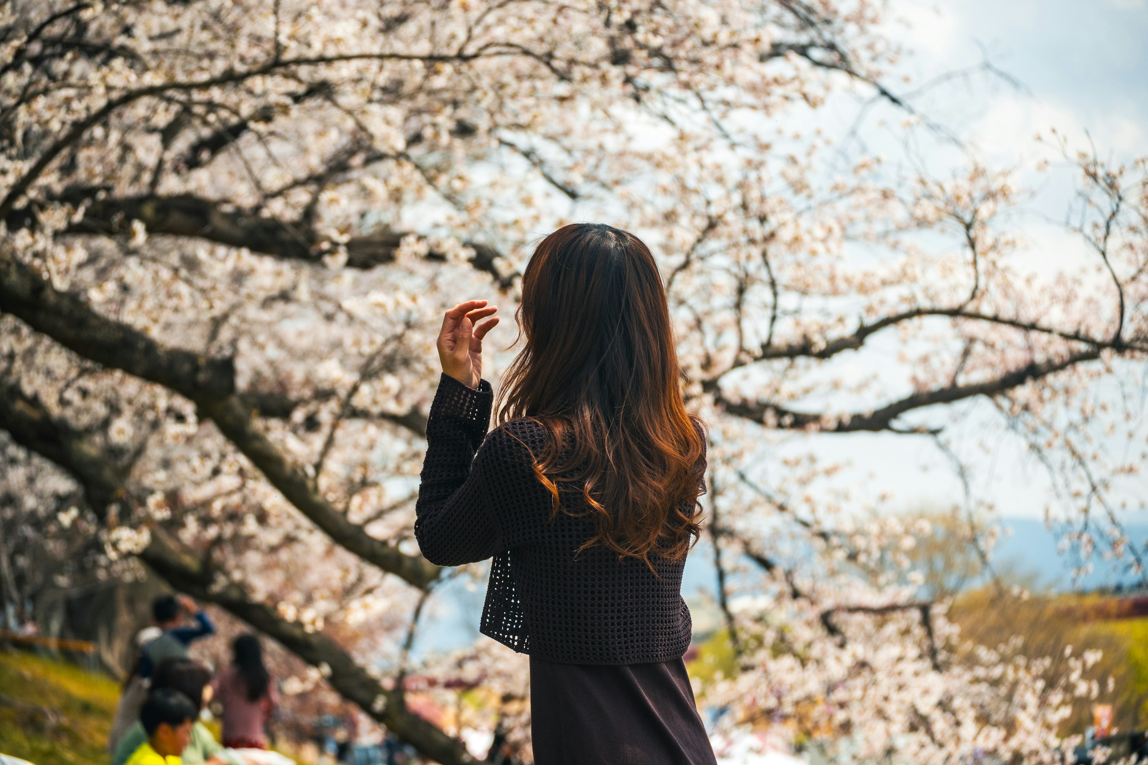 Una mujer de pie bajo un árbol de cerezo en flor mirando hacia atrás