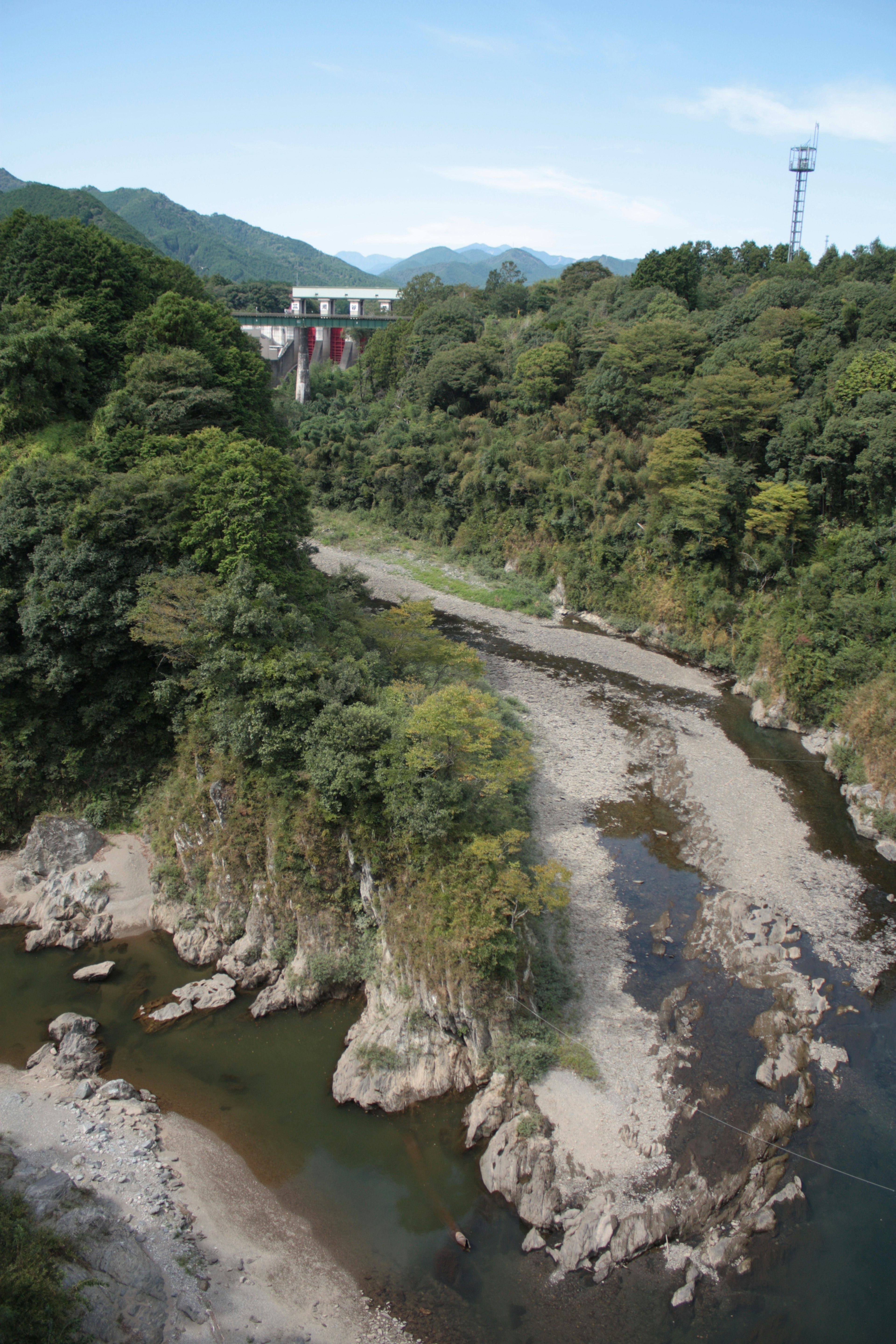 Lush forest and river landscape with mountains in the background